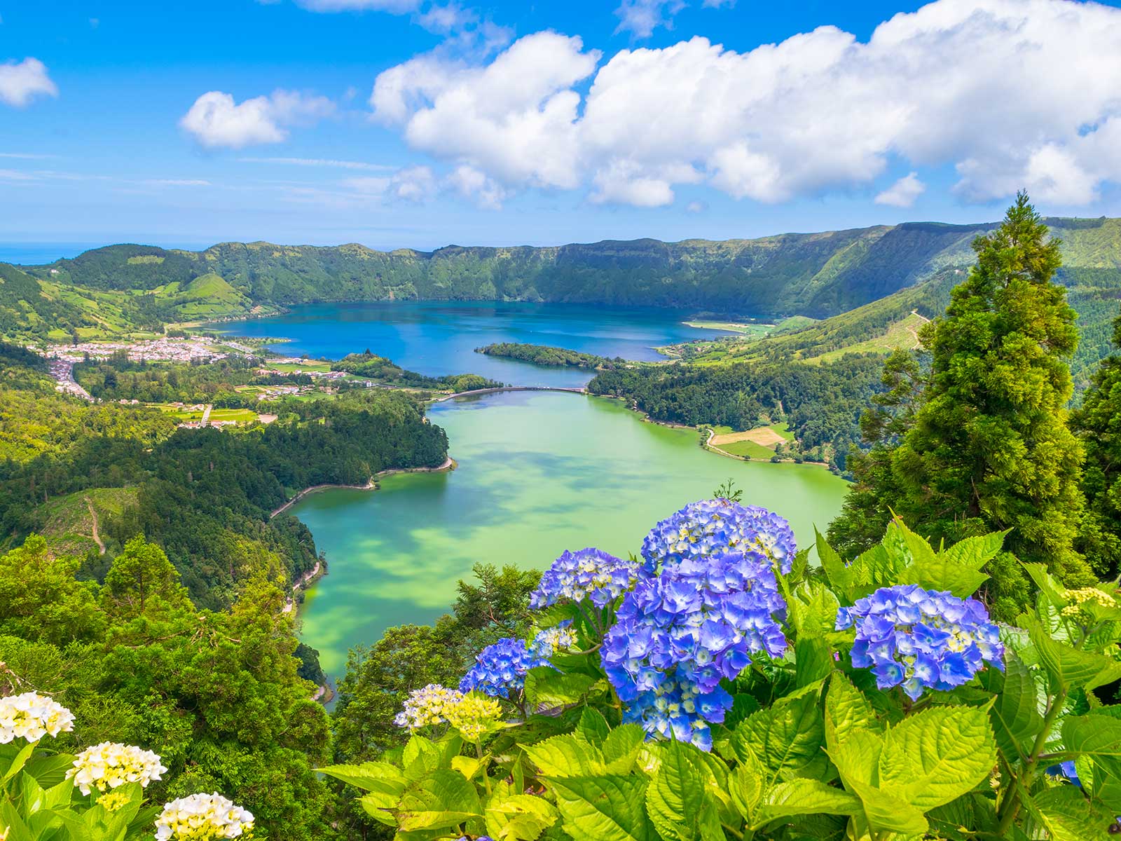 Imprescindibles en Azores