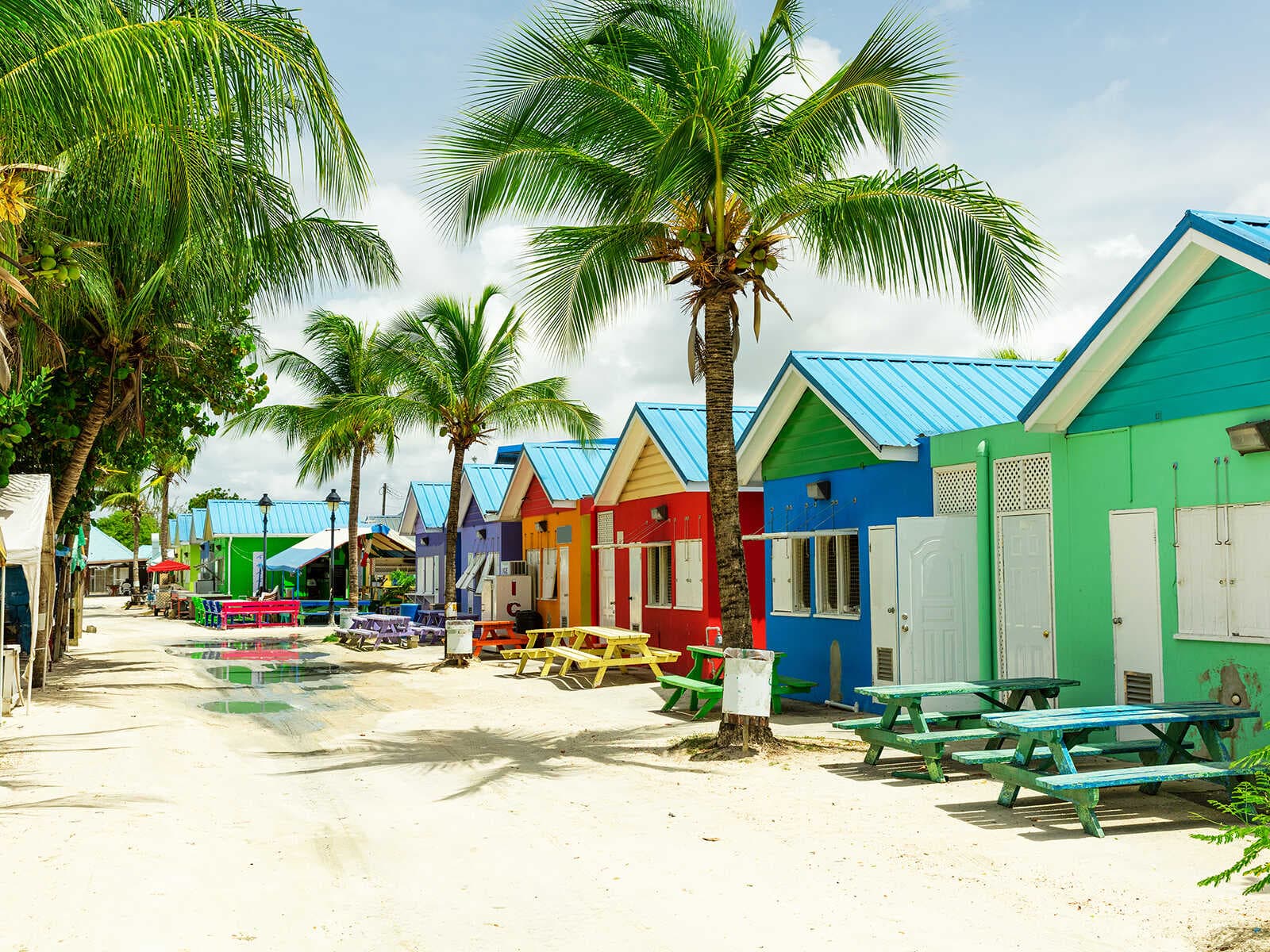 Imprescindibles en Barbados