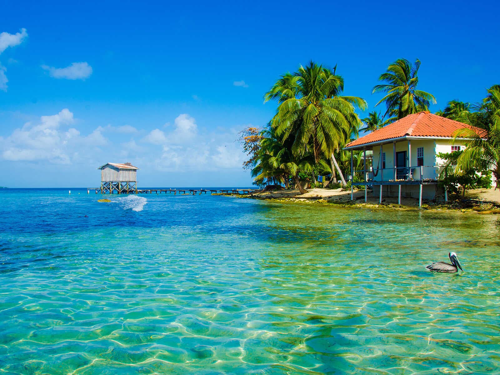 Imprescindibles en Belice