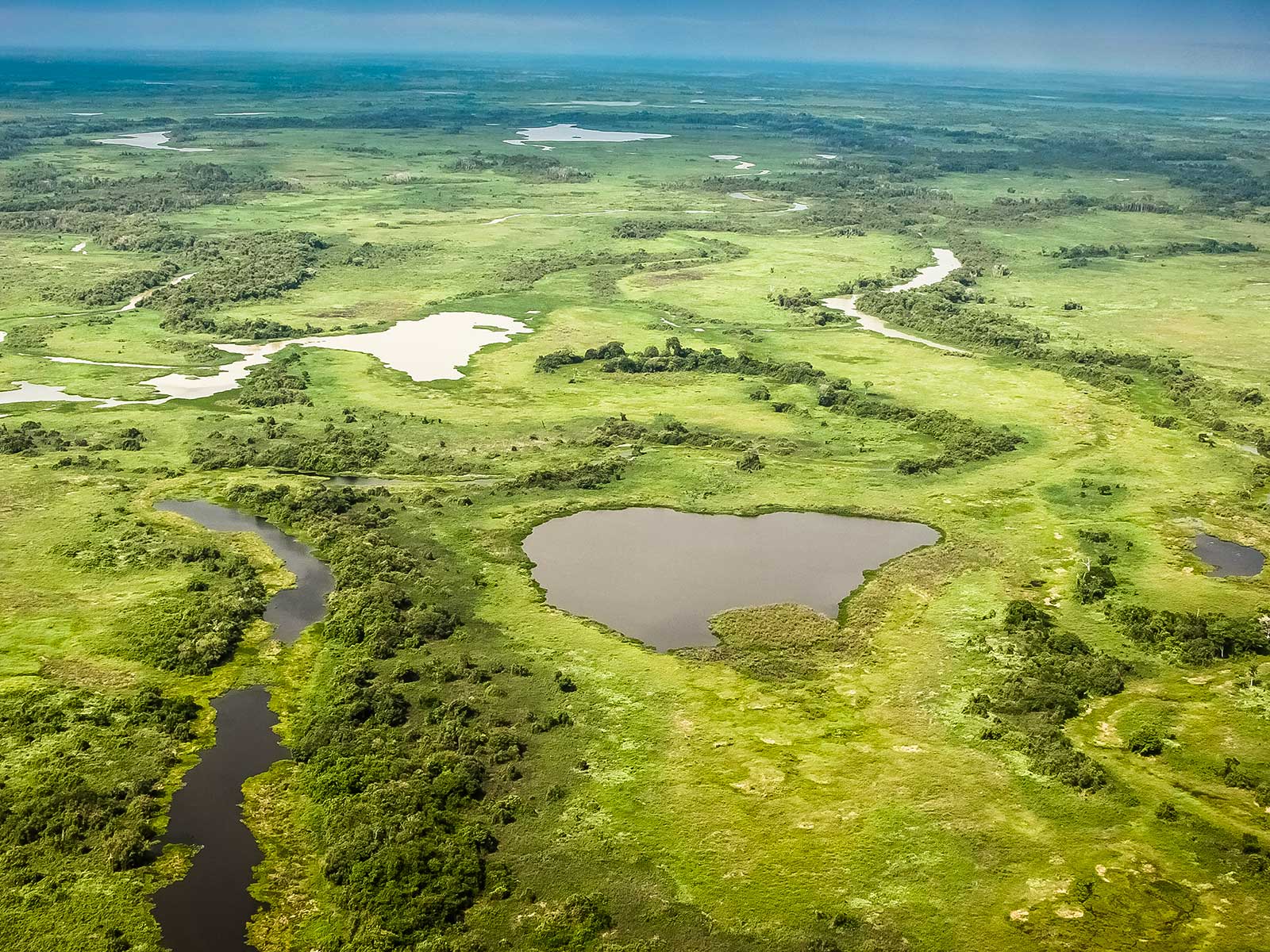 Pantanal