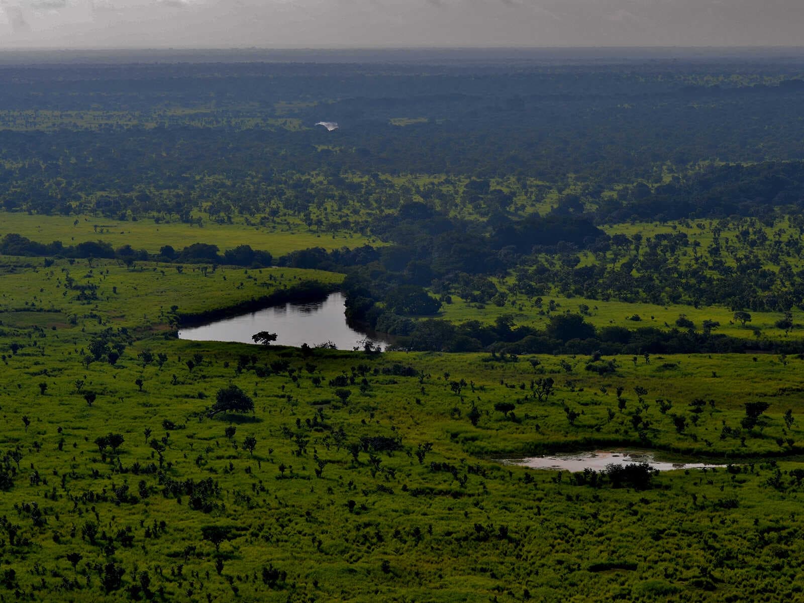 Parque Nacional Garamba