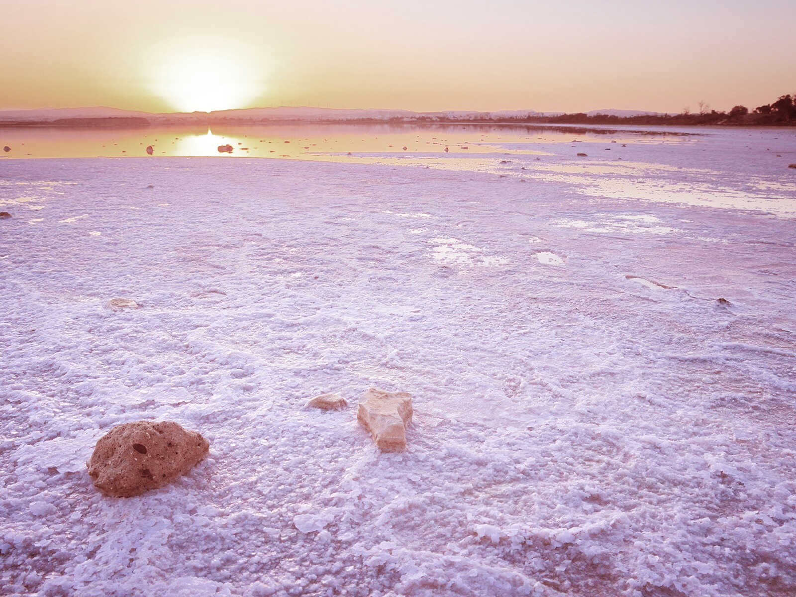 Lago salado de Larnaca