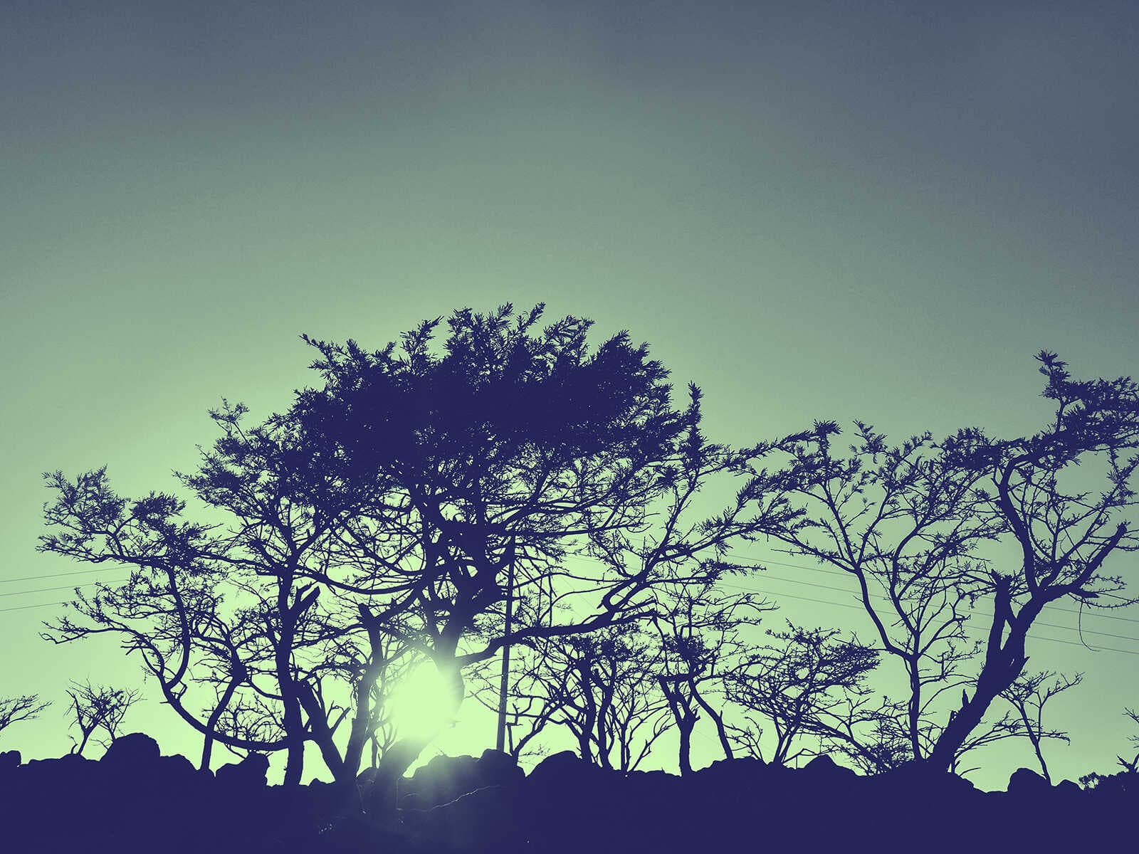 Parque Nacional Day Forest