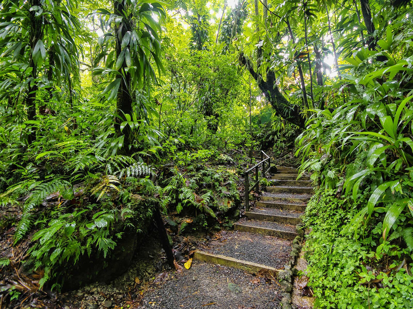 Cataratas de Trafalgar 1