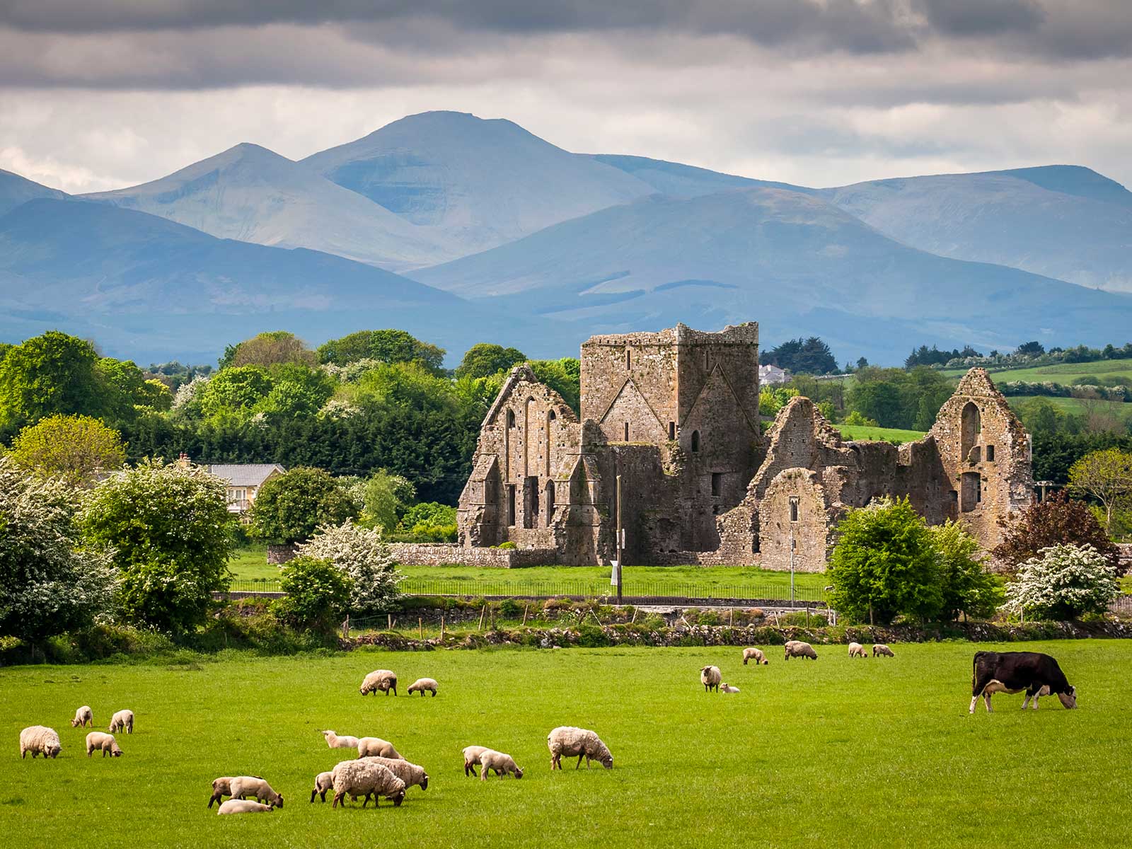 Imprescindibles en Irlanda