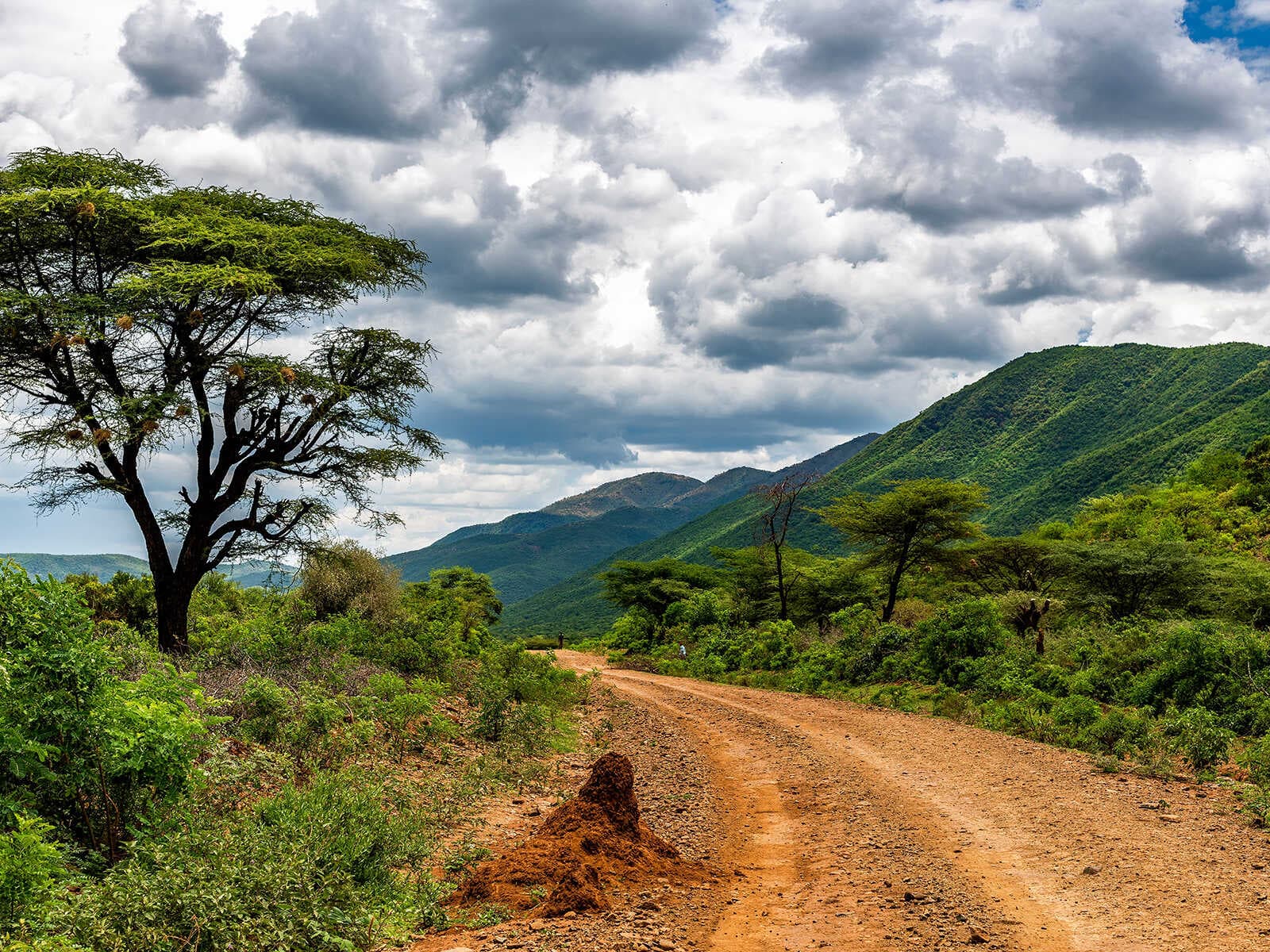 Gran Valle del Rift 2