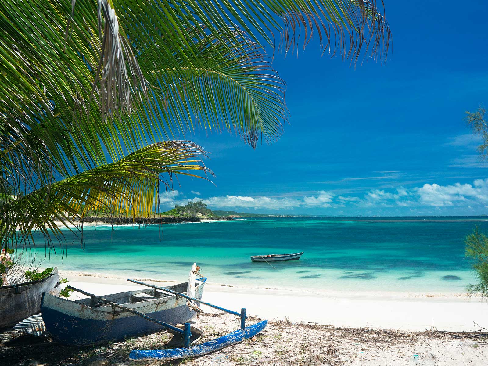 Imprescindibles en Madagascar