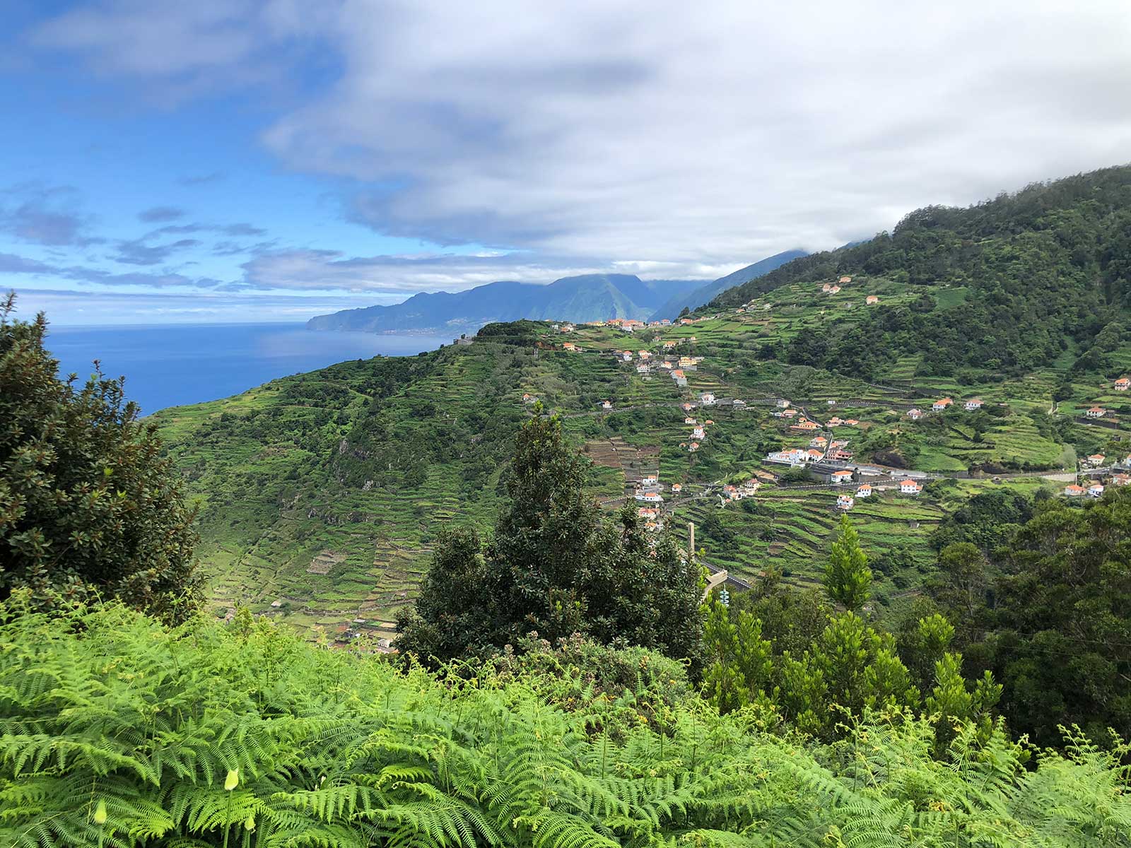 Imprescindibles en Madeira