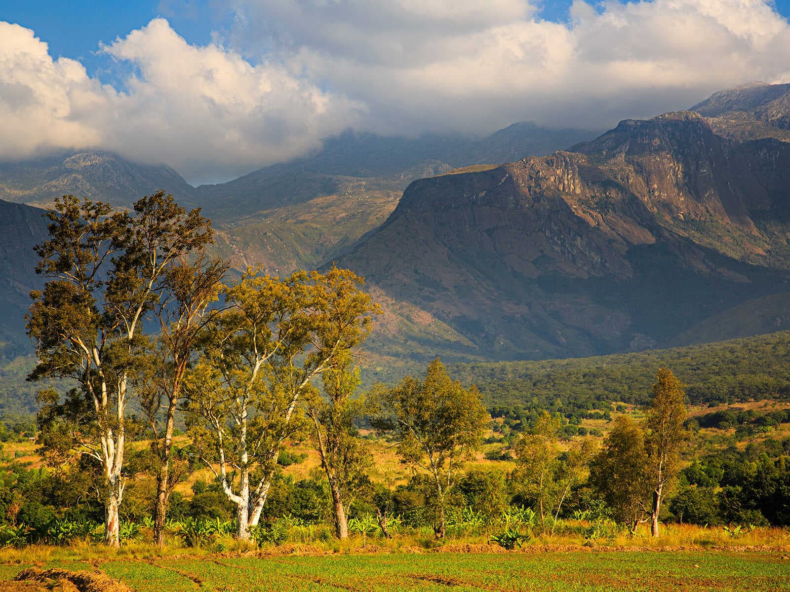 Macizo Mulanje 2