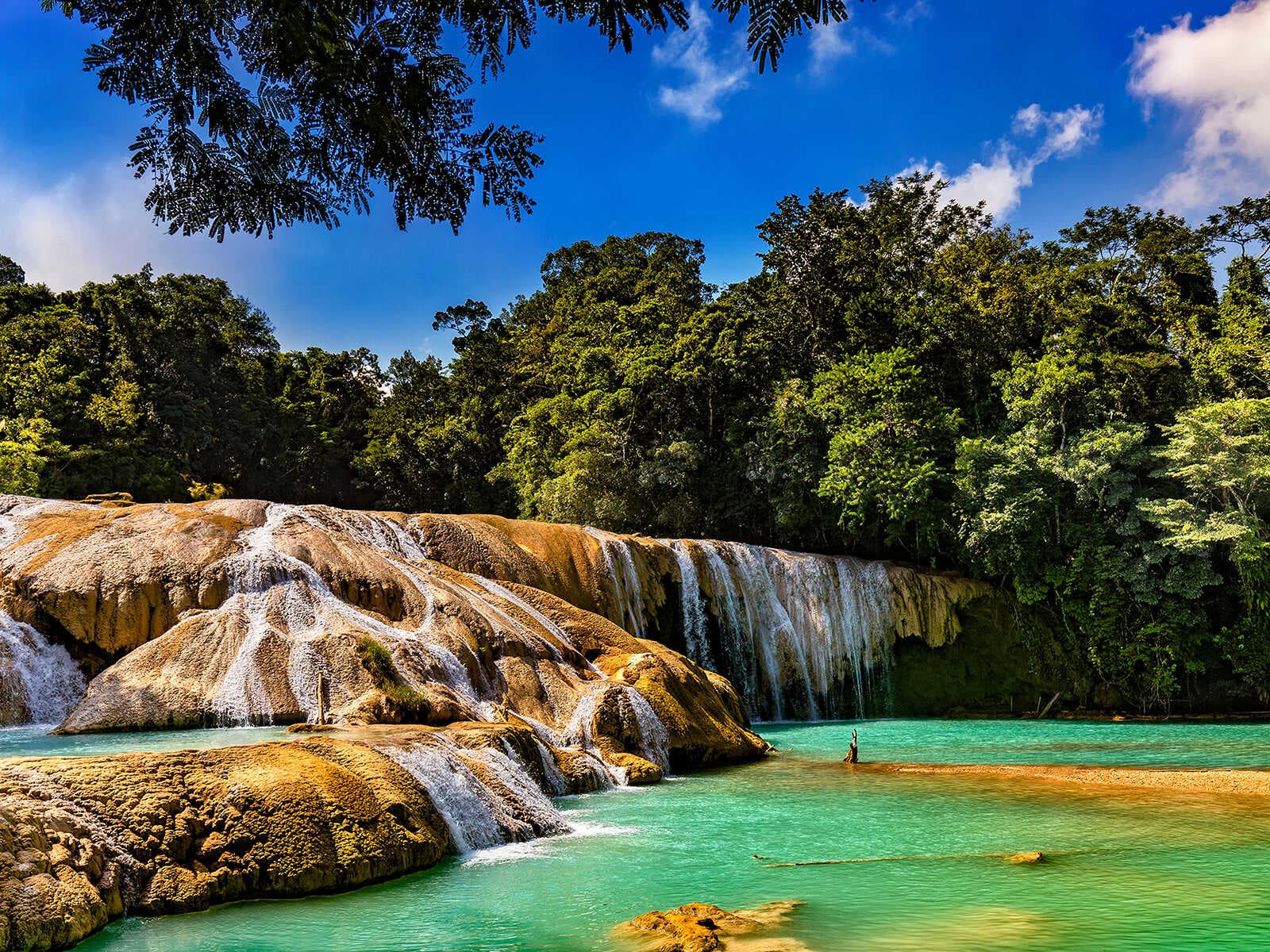 Cascadas de Agua Azul 2