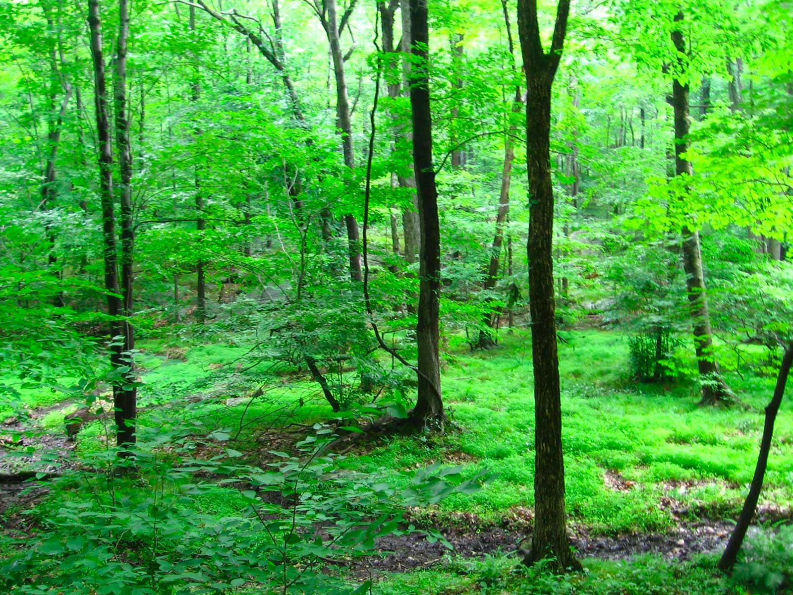 Greenbelt Nature Center