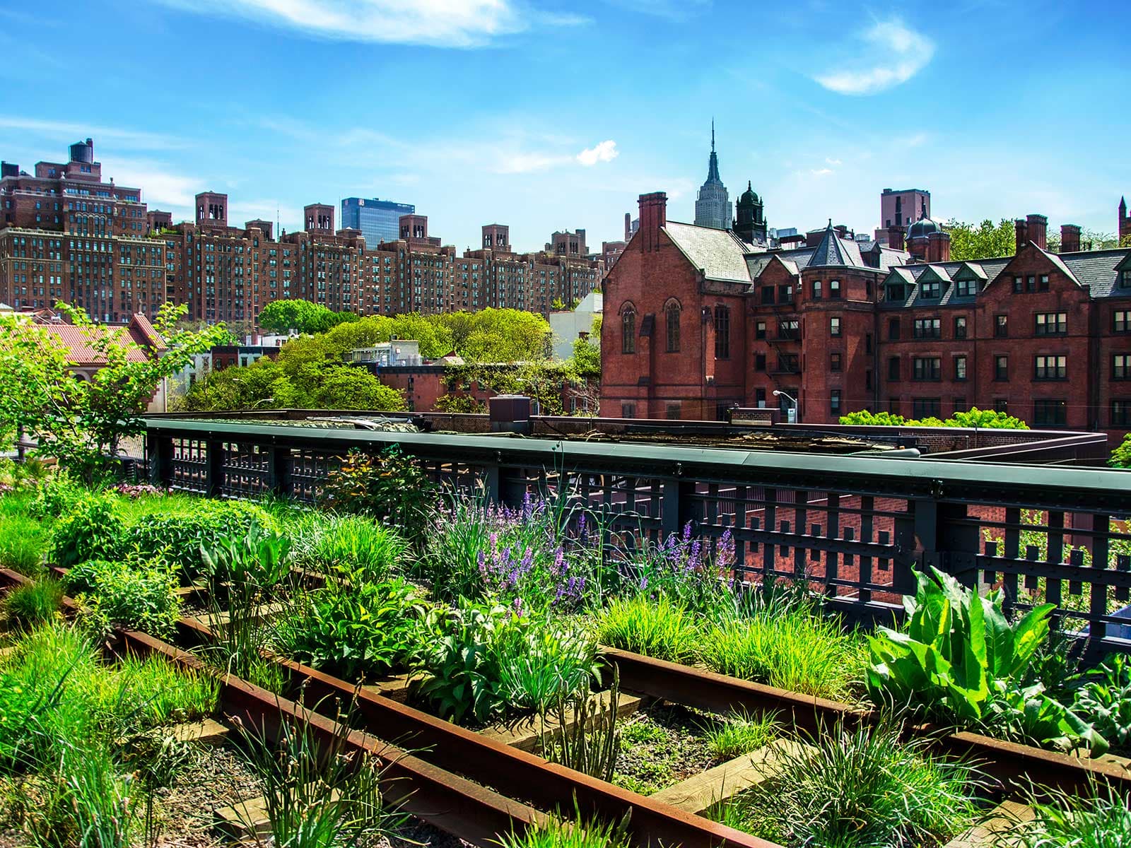 The High Line