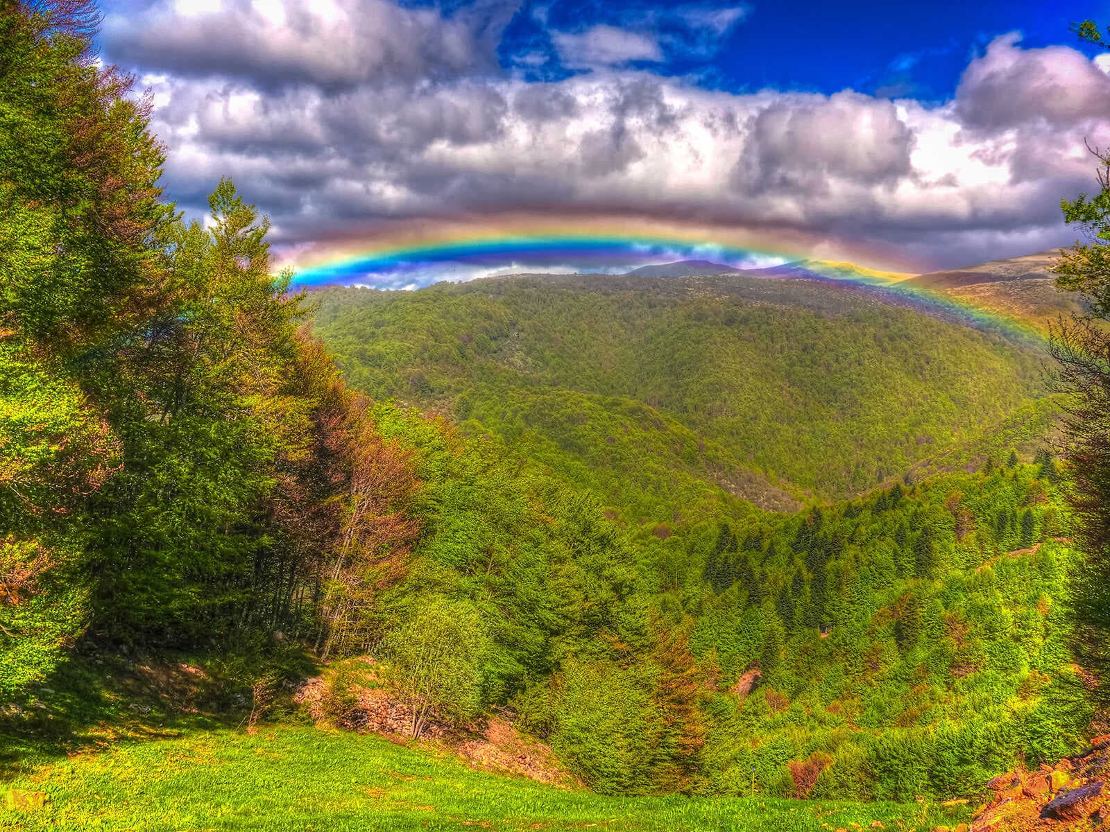 National park Mavrovo