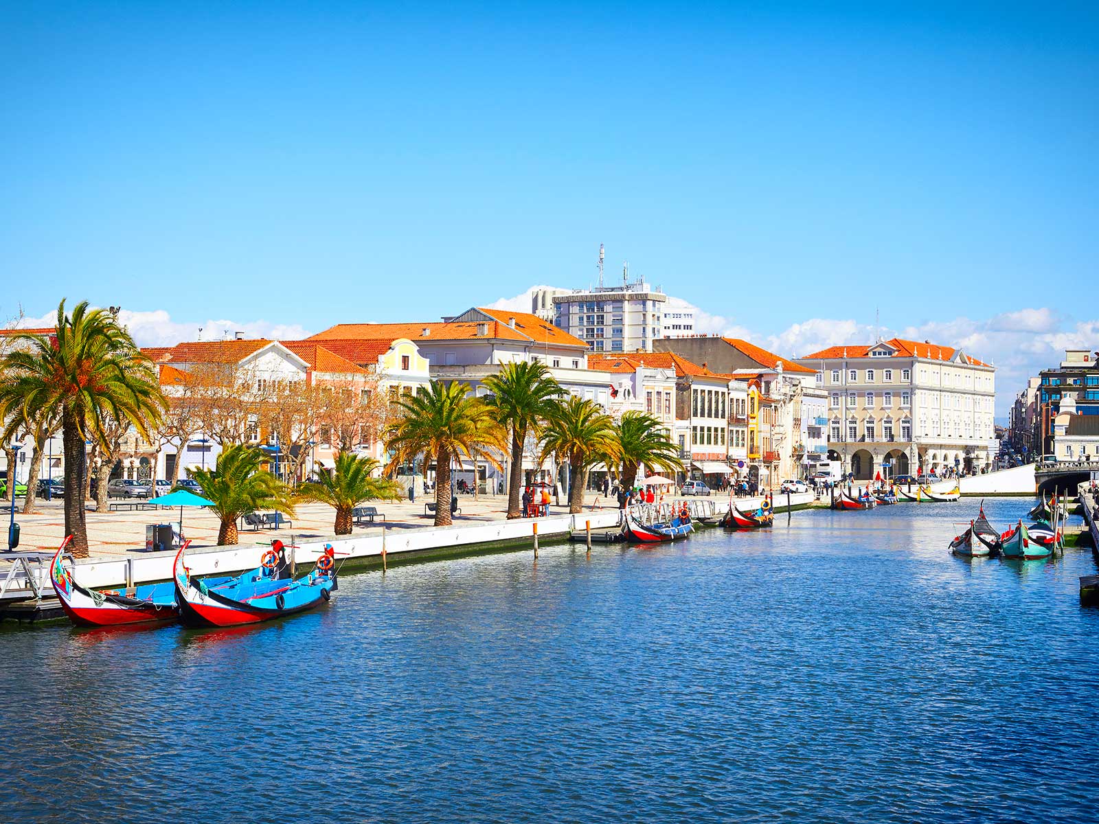 Imprescindibles en Portugal