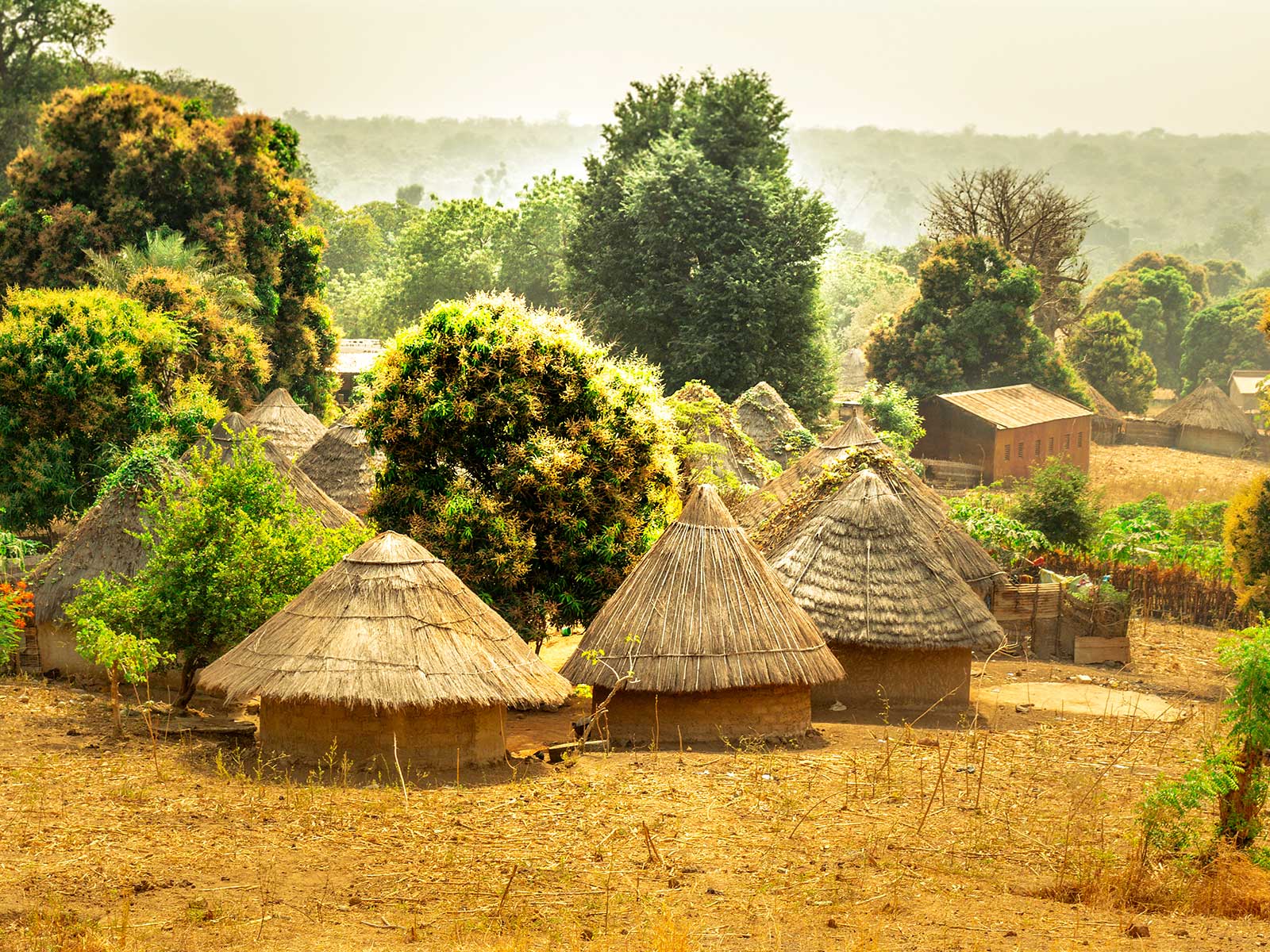 Imprescindibles en Senegal
