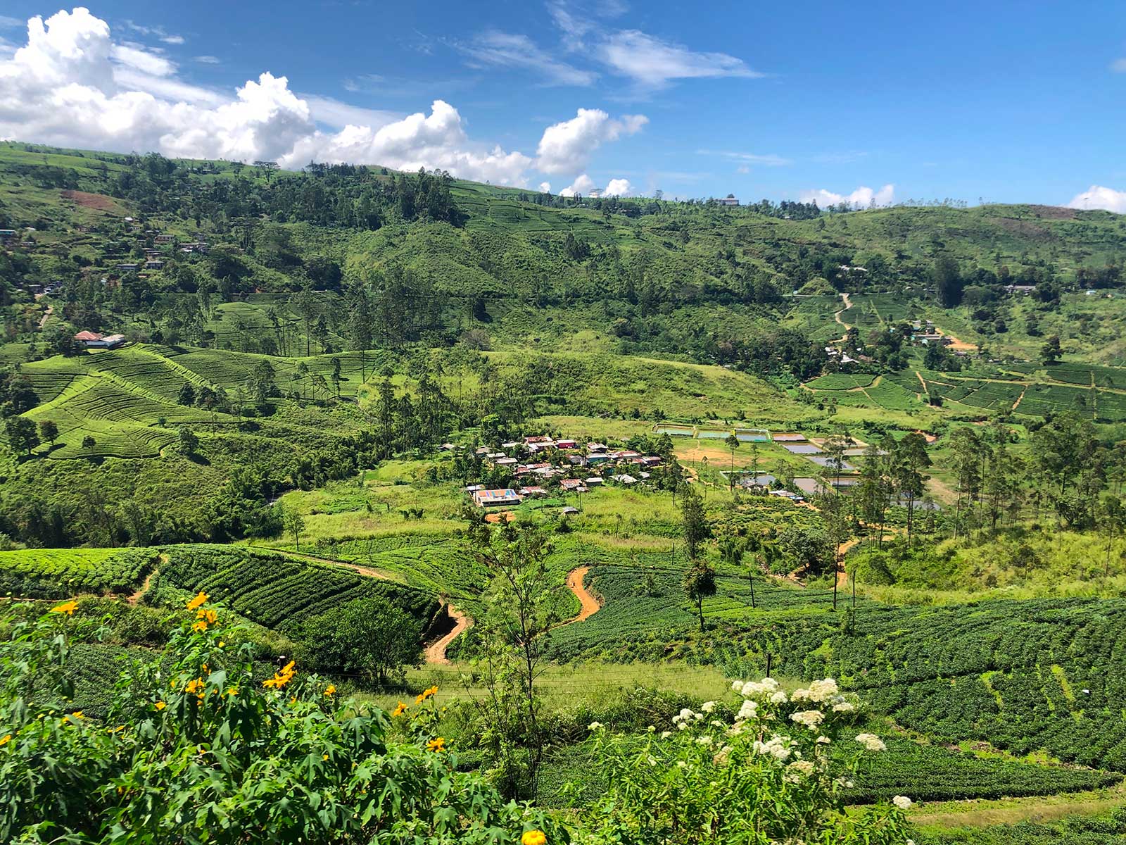 Train from Ella to Kandy 1