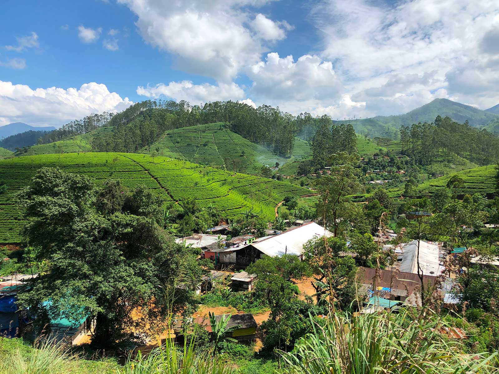 Train from Kandy to Ella 5