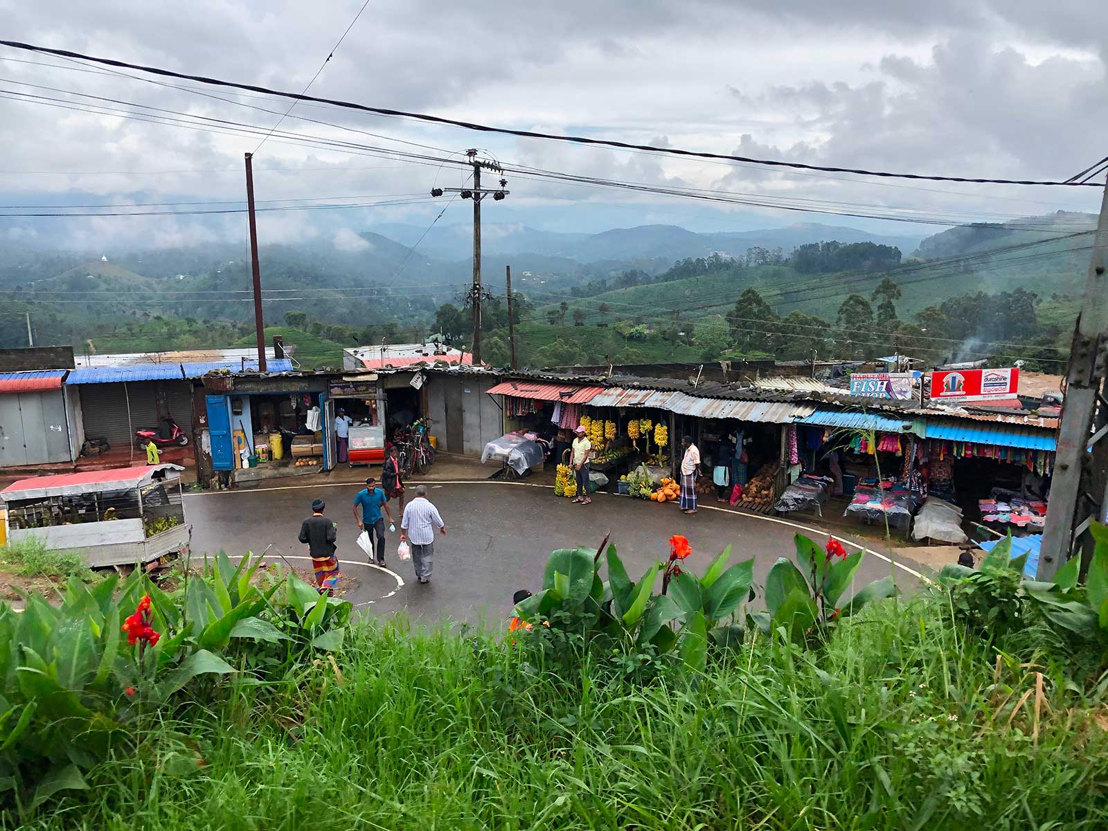 Train from Nuwara Eliya to Ella 4