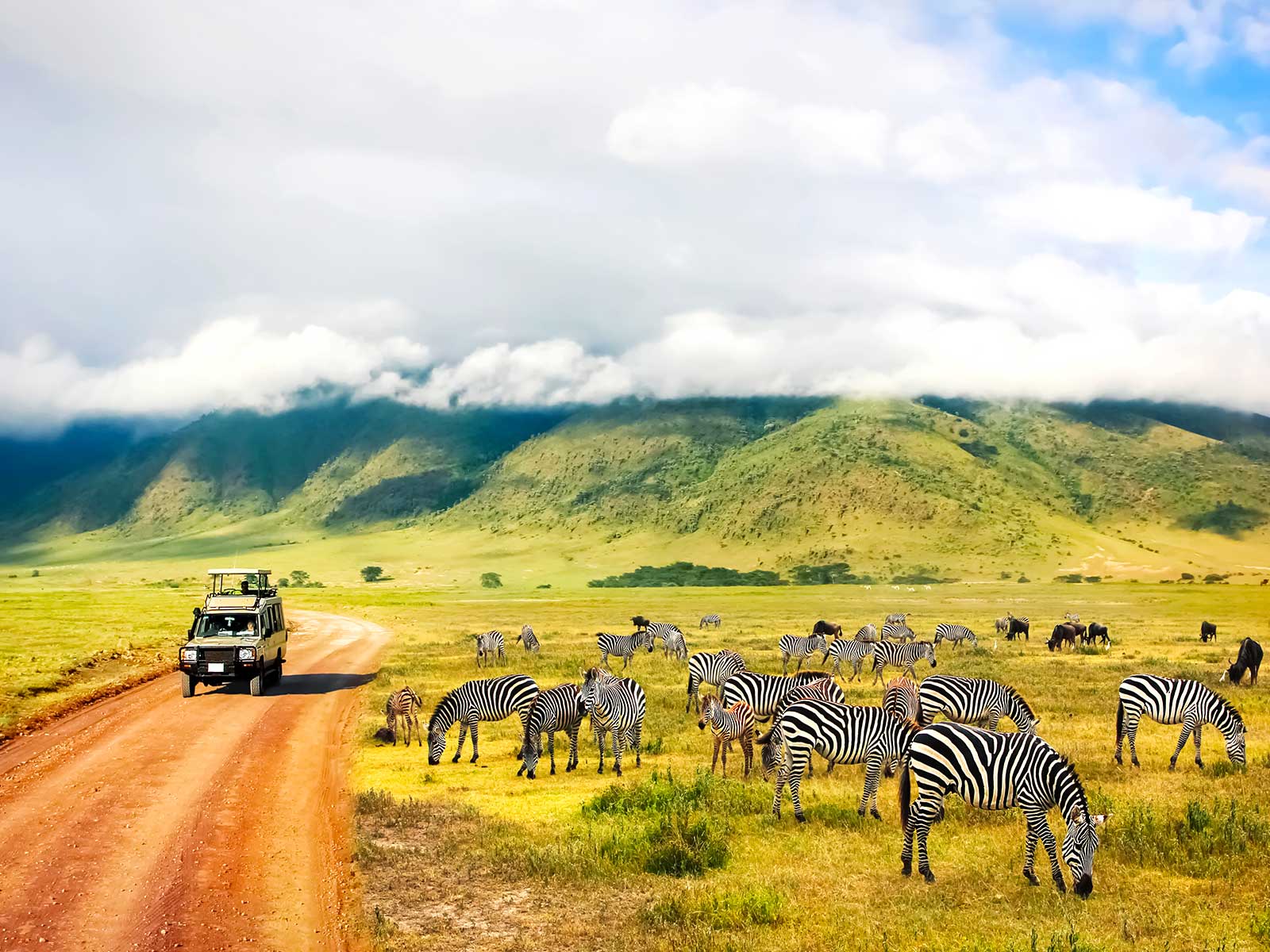 Imprescindibles en Tanzania