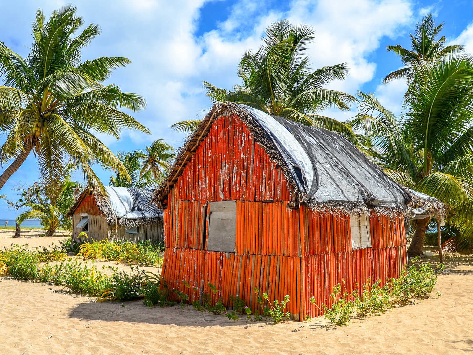 Imprescindibles en Tonga