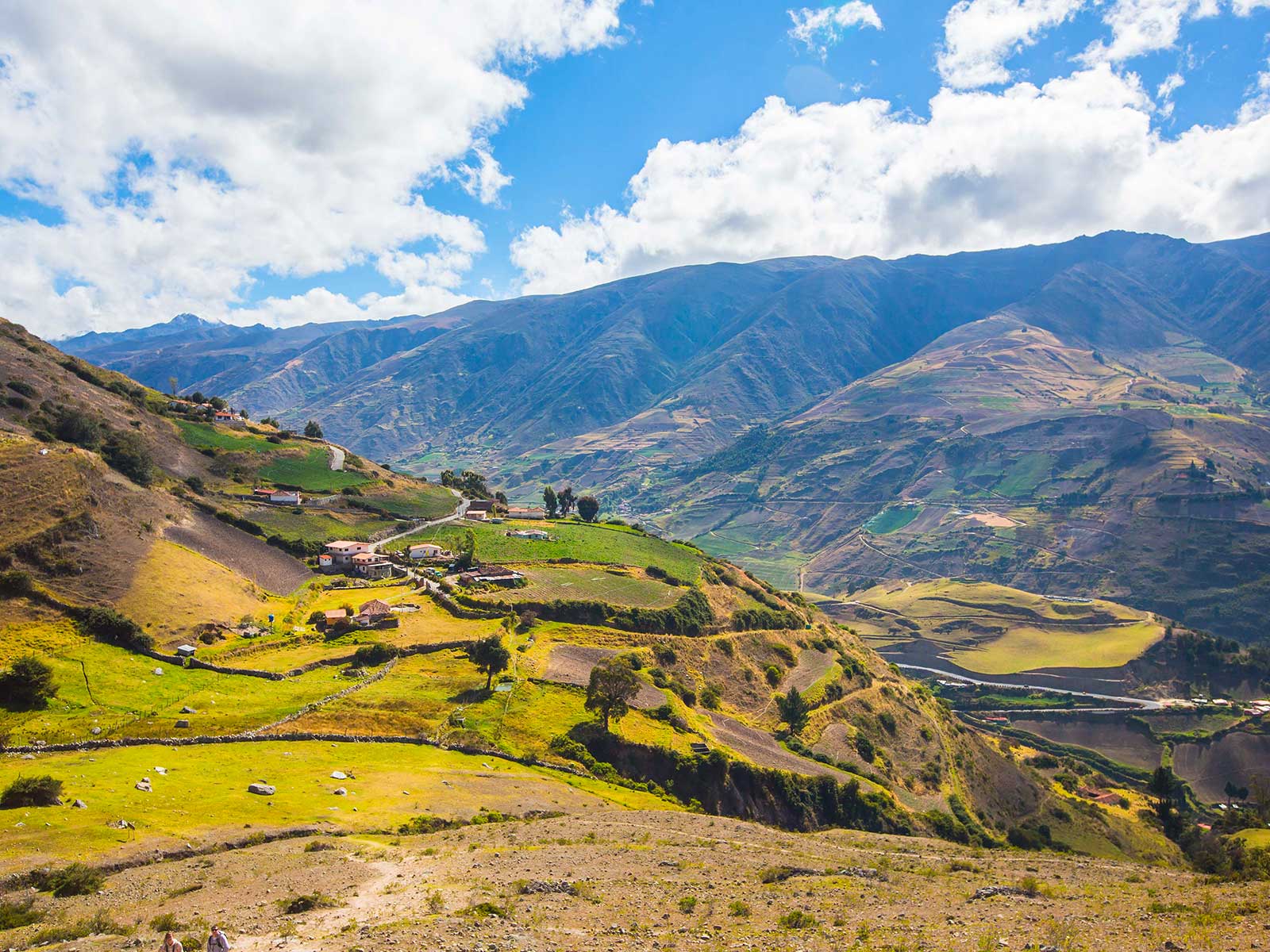 Imprescindibles en Venezuela