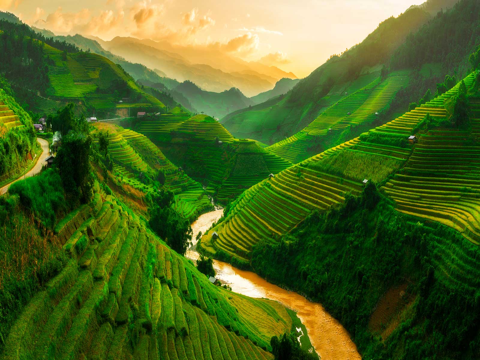 Imprescindibles en Vietnam