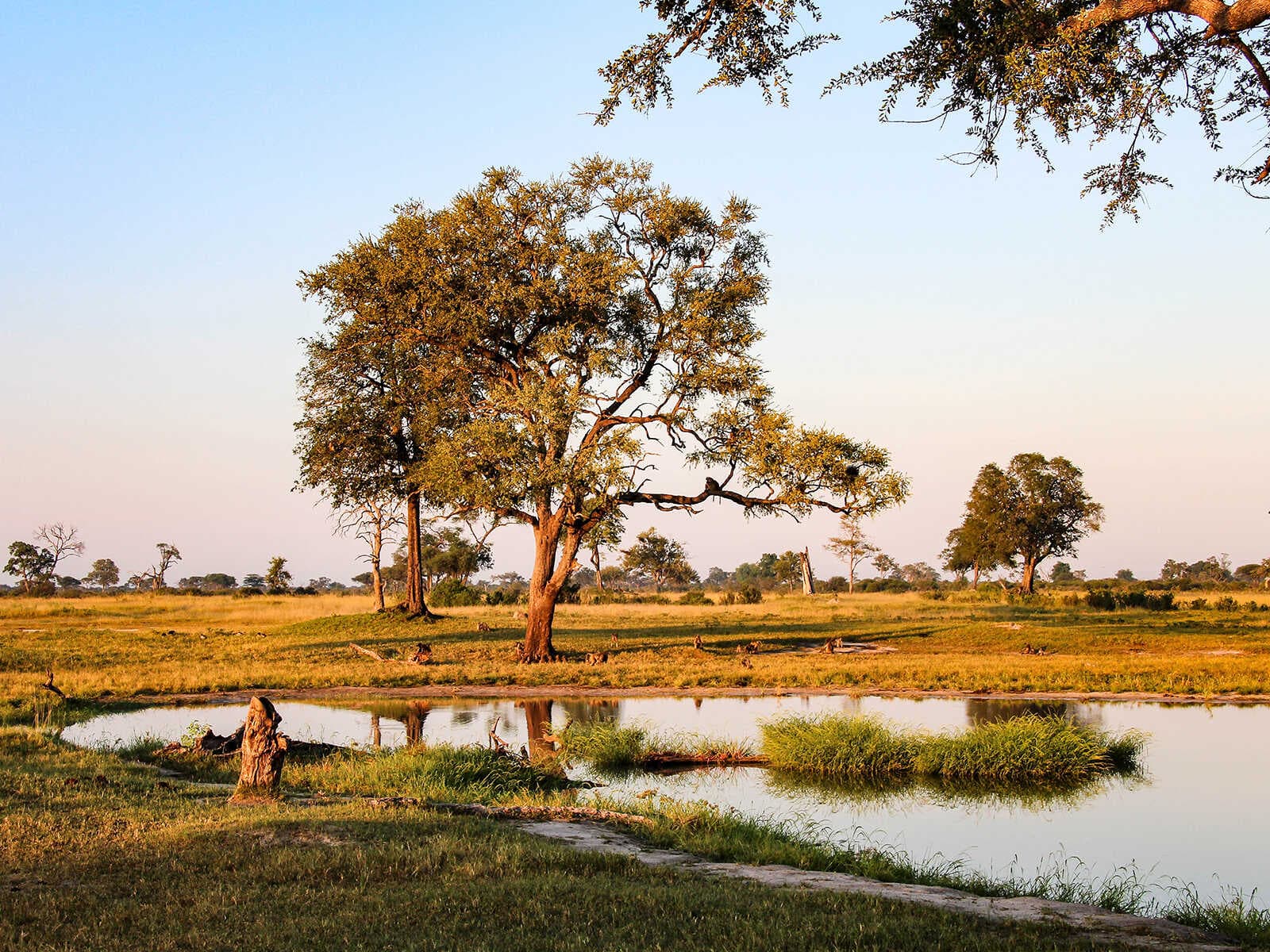 Hwange Parque Nacional