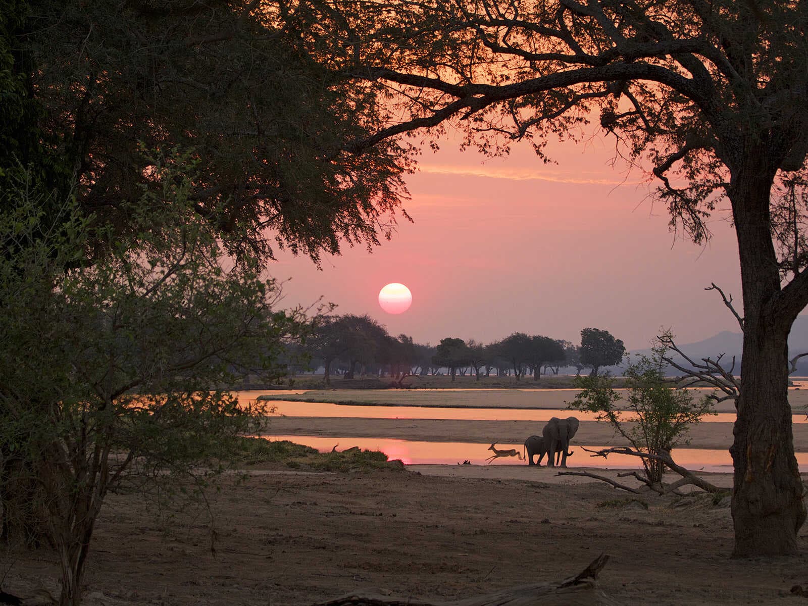 Mana Pools Parque Nacional