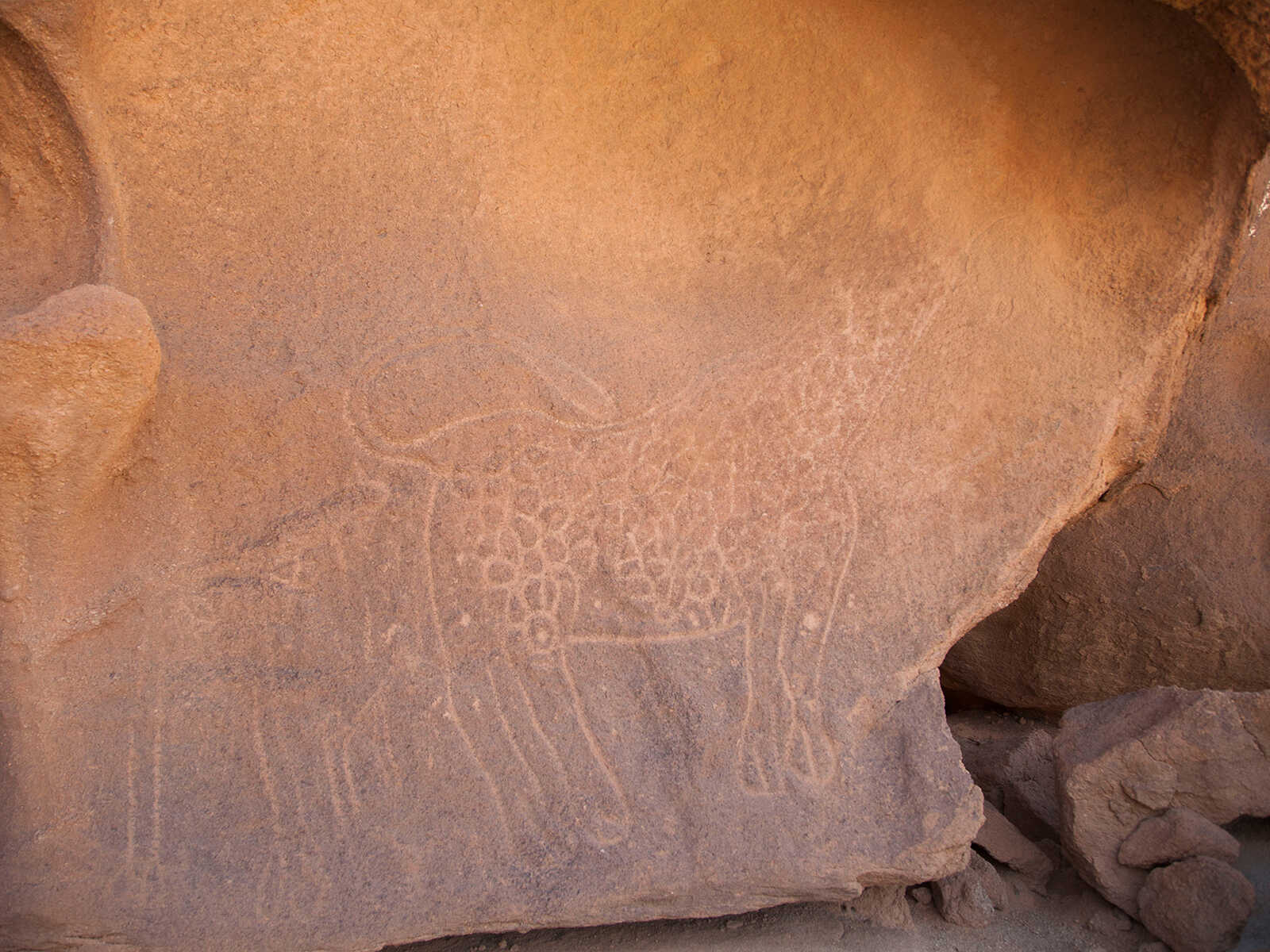 Parque Nacional Ahaggar 1