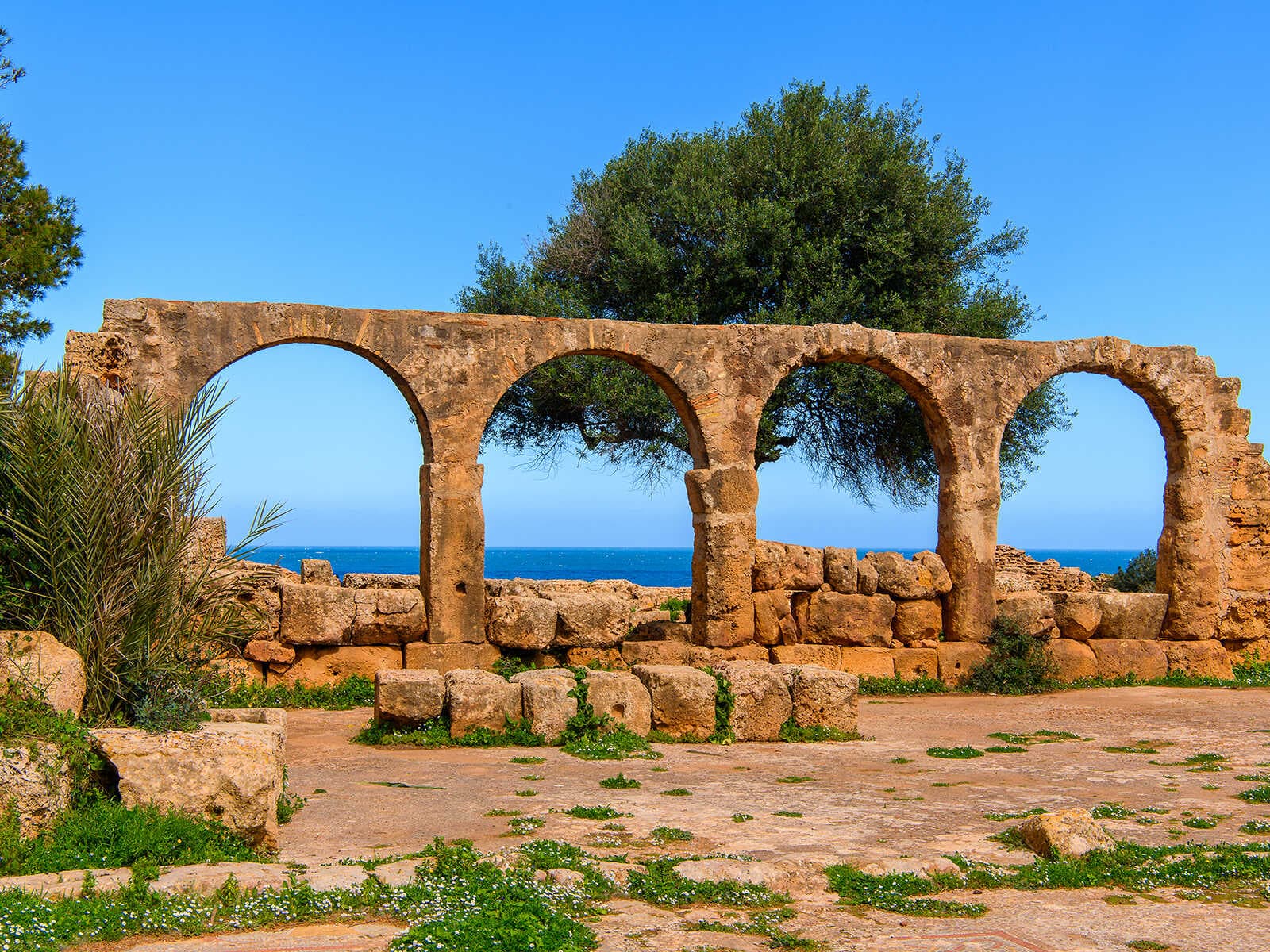 Sitio Histórico de Tipasa