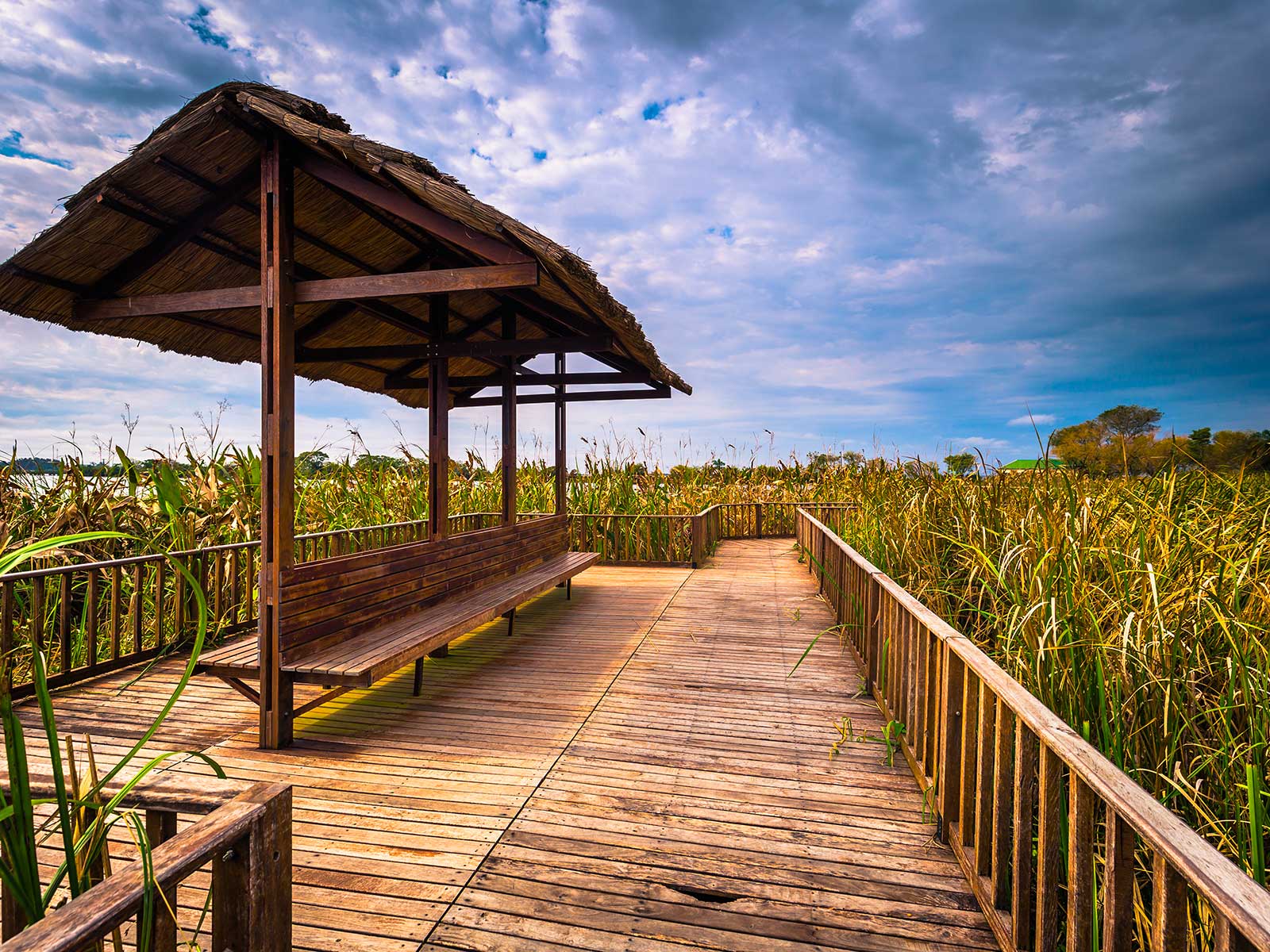 Humedales del Iberá