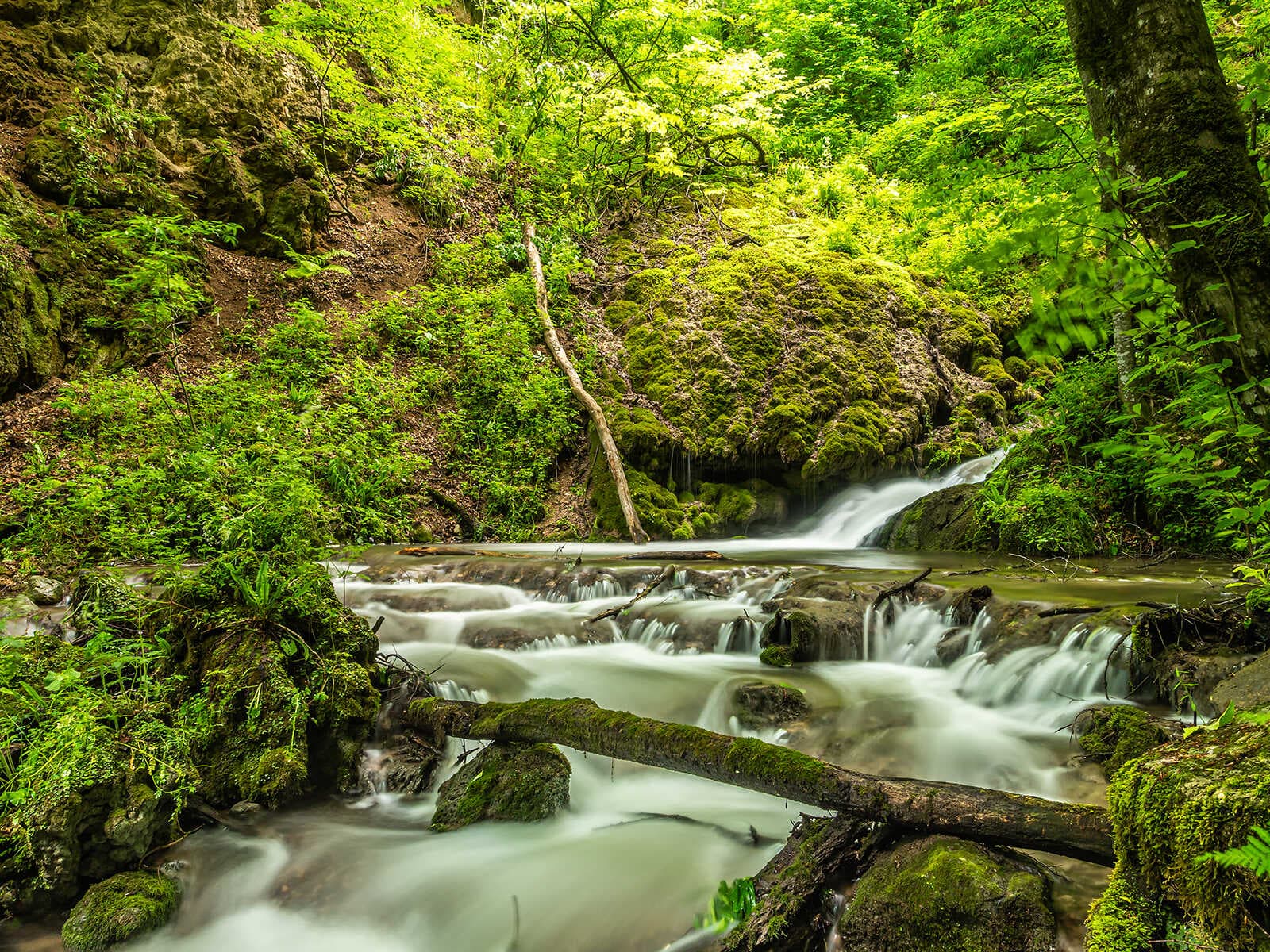 Parque Nacional Dilijan 1