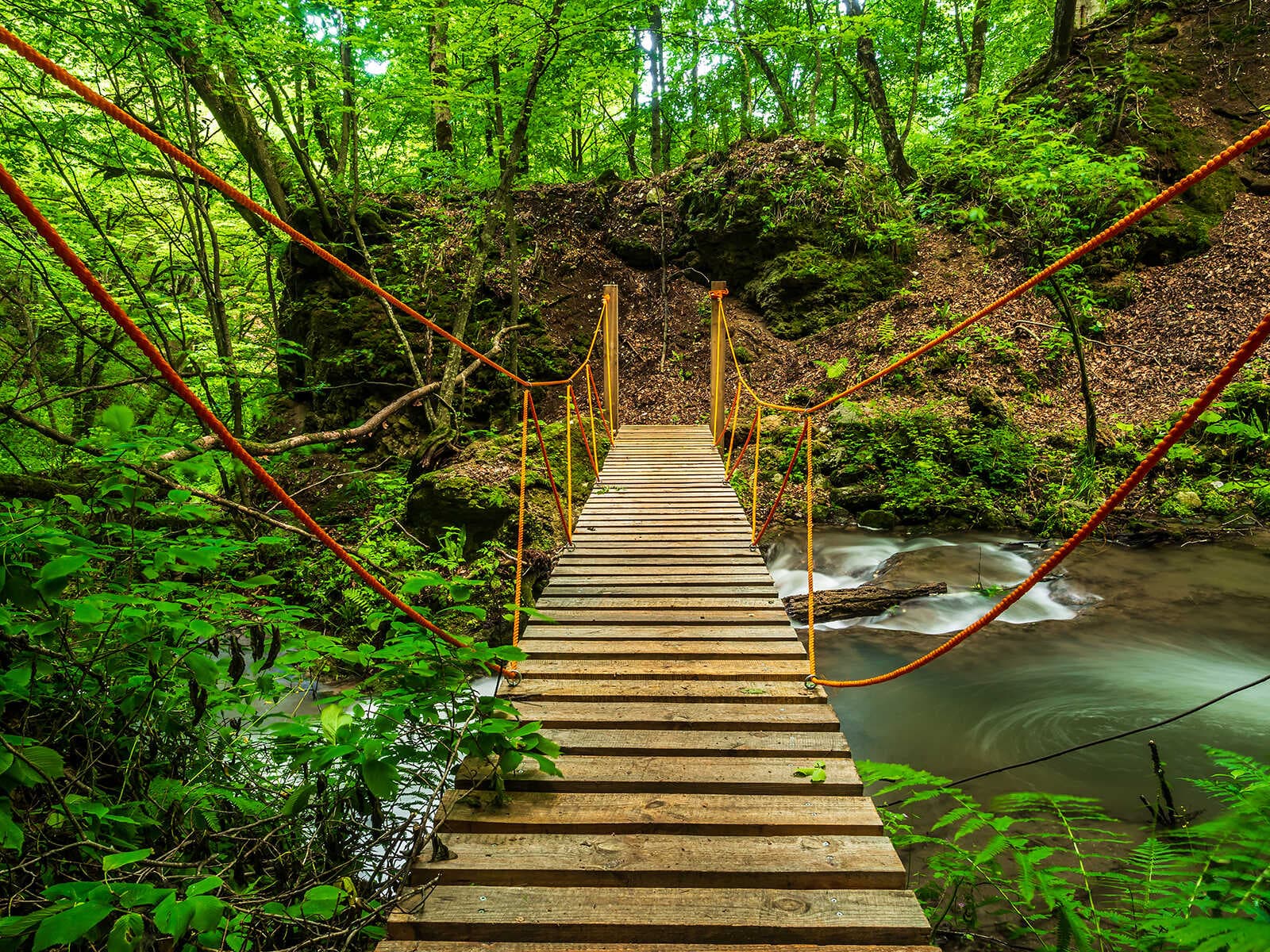 Parque Nacional Dilijan 3
