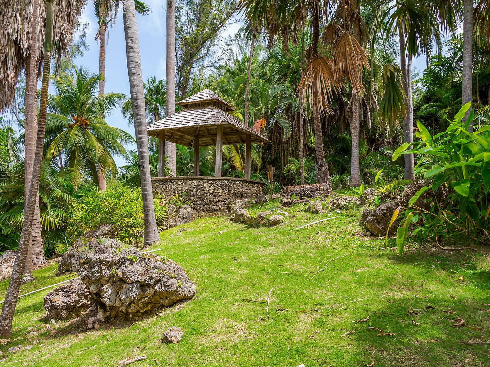 Jardines Botánicos Andromeda