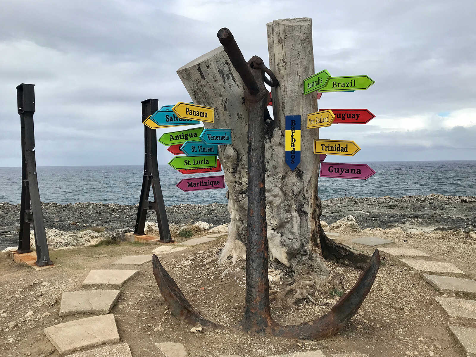 Cueva de la Flor Animal 2