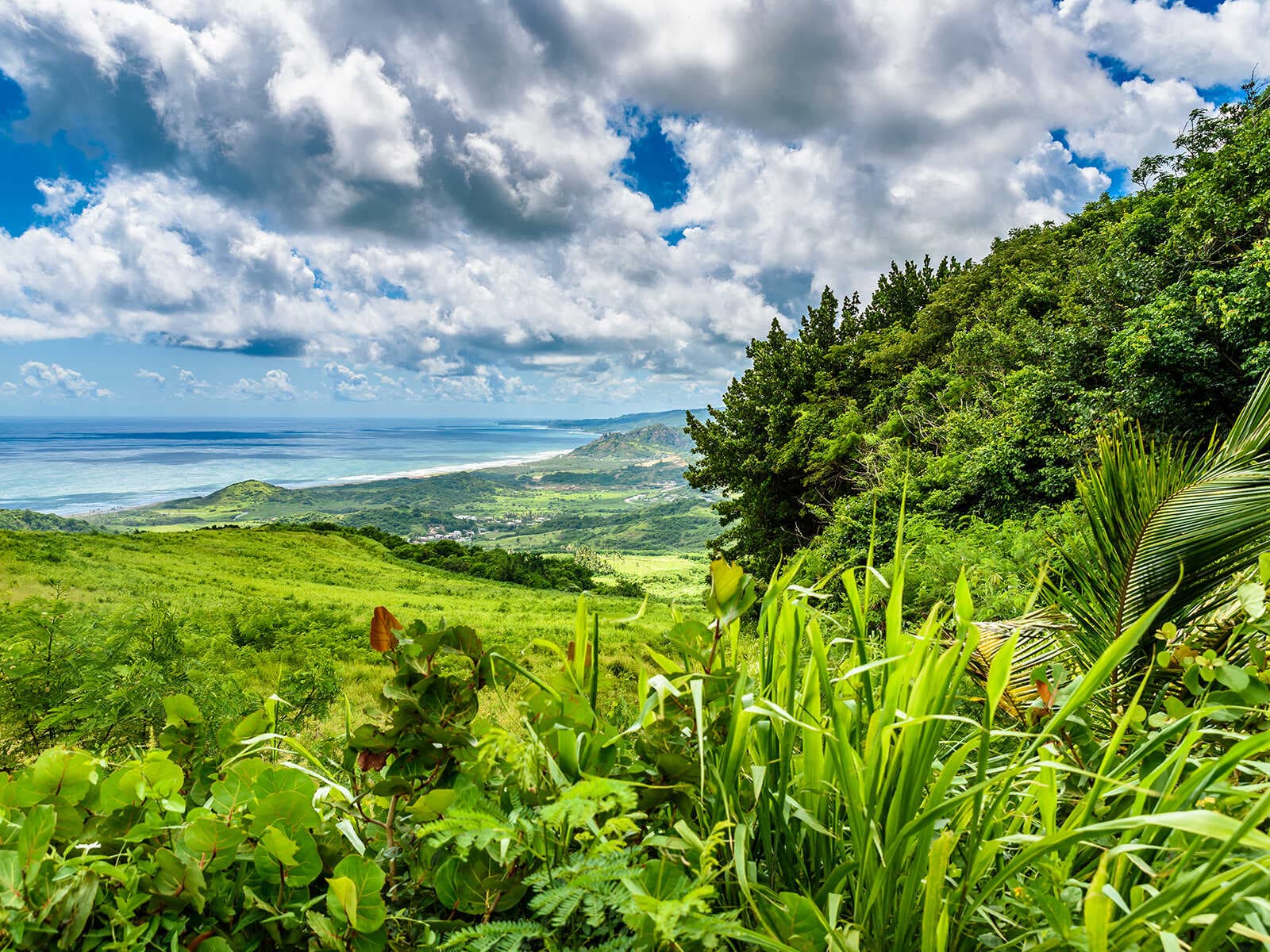 Reserva Cherry Tree Hill 2