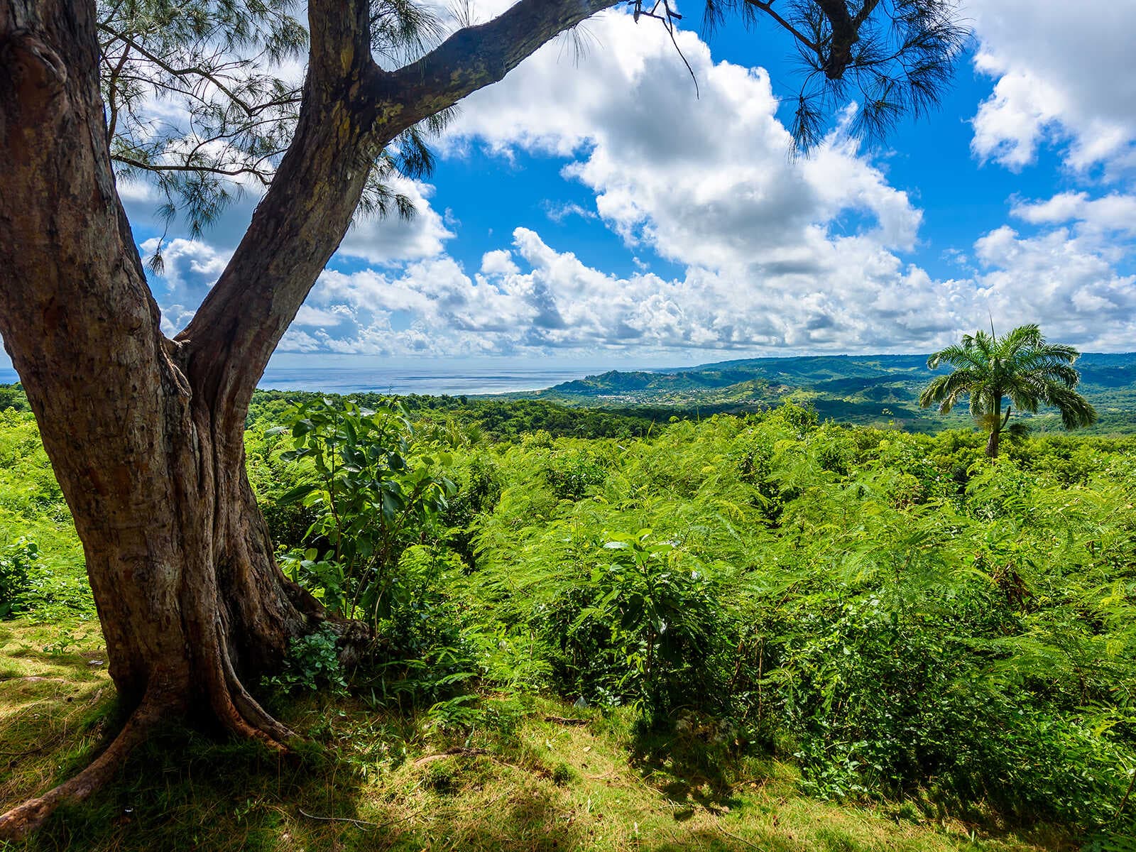 Parque Nacional Farley Hill