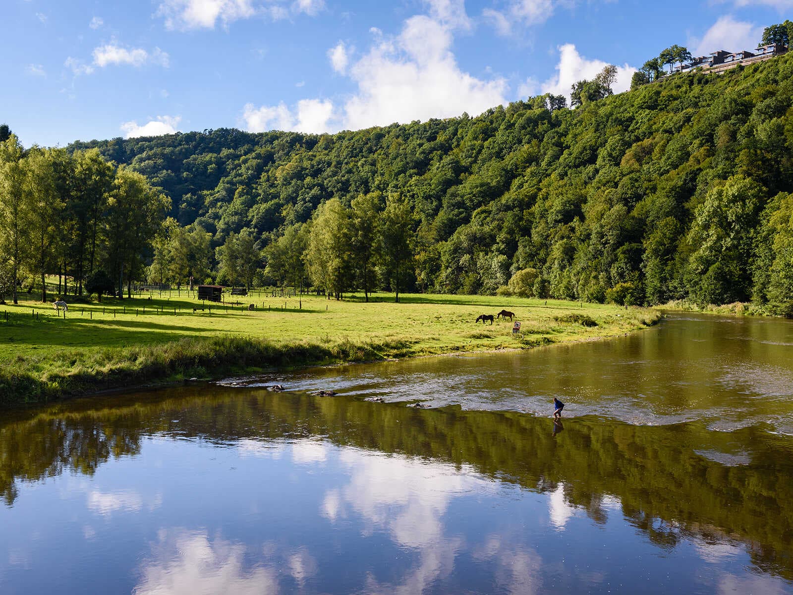 Colinas de las Ardenas 2