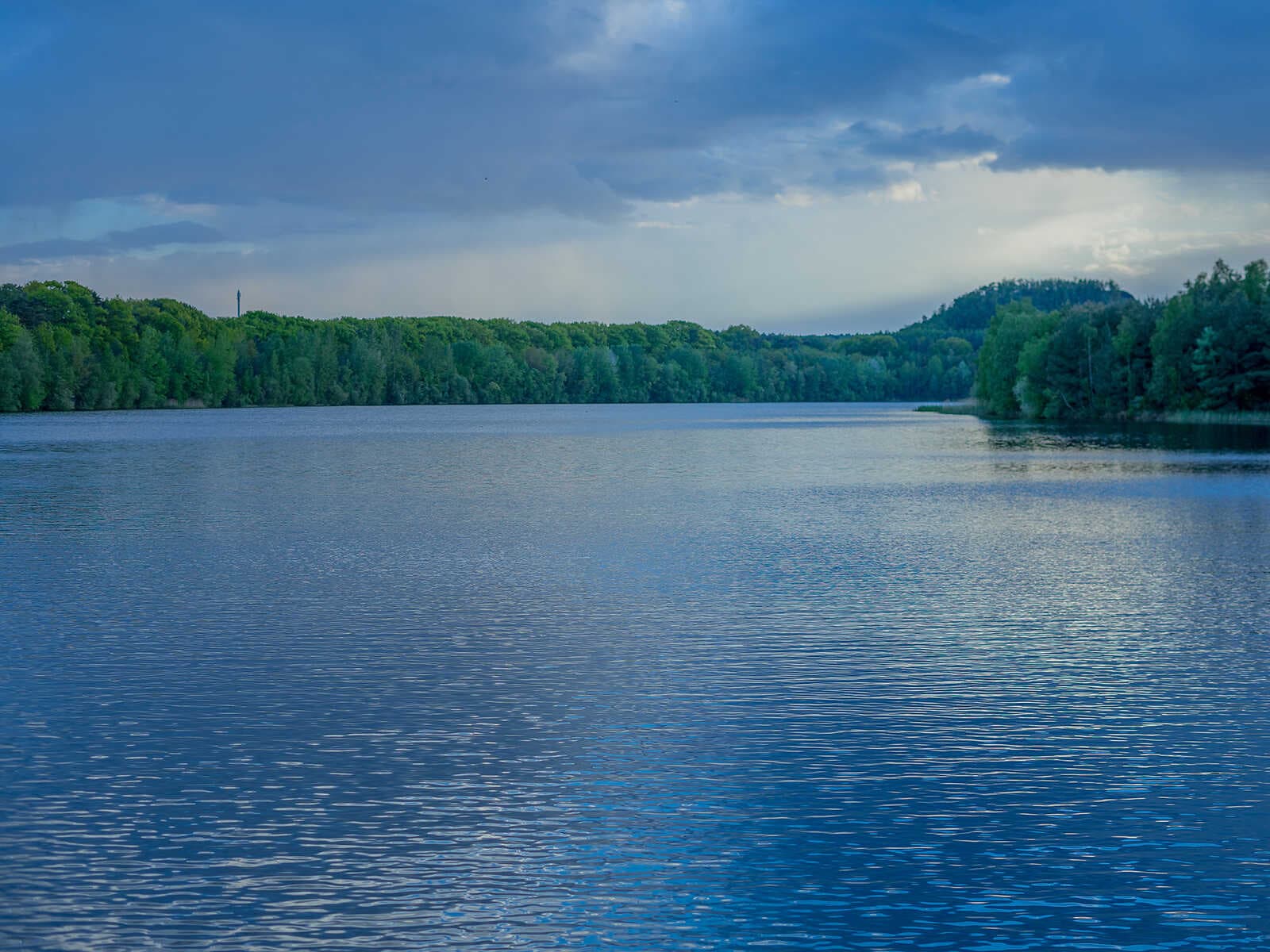 Parque Nacional Hoge Kempen 2