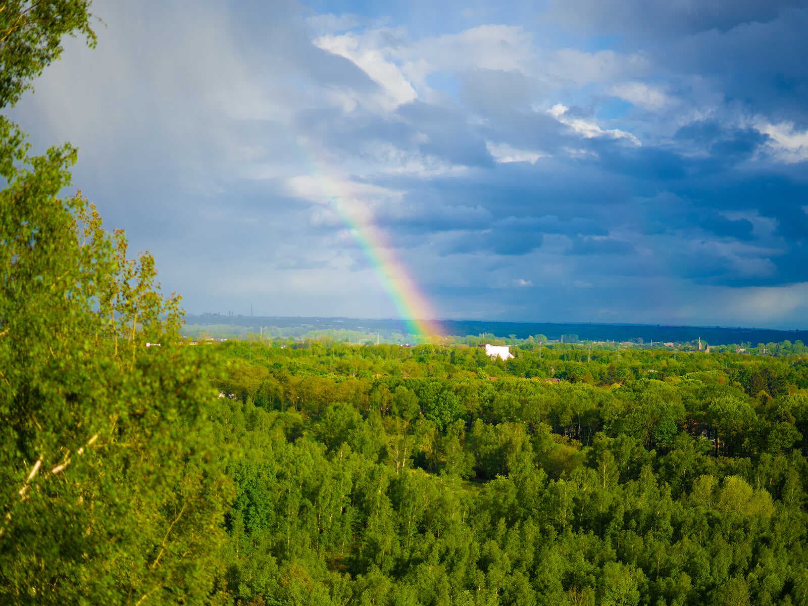Parque Nacional Hoge Kempen