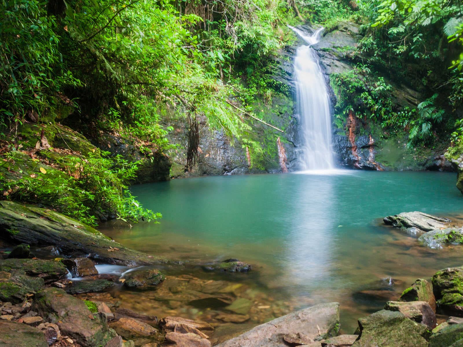 Santuario de Vida Silvestre Cockscomb Basin