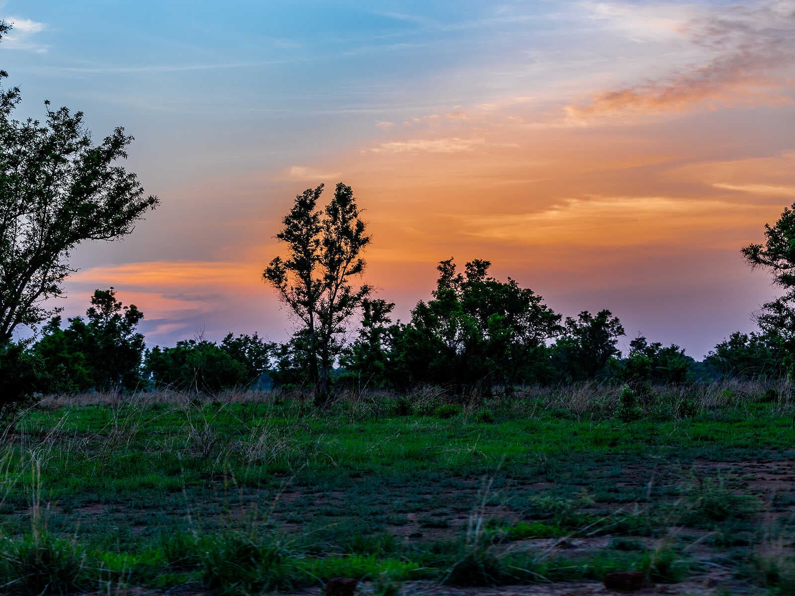 Parque Nacional Pendjari