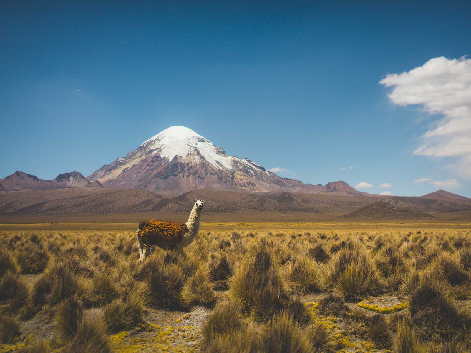 Parque Nacional Sajama