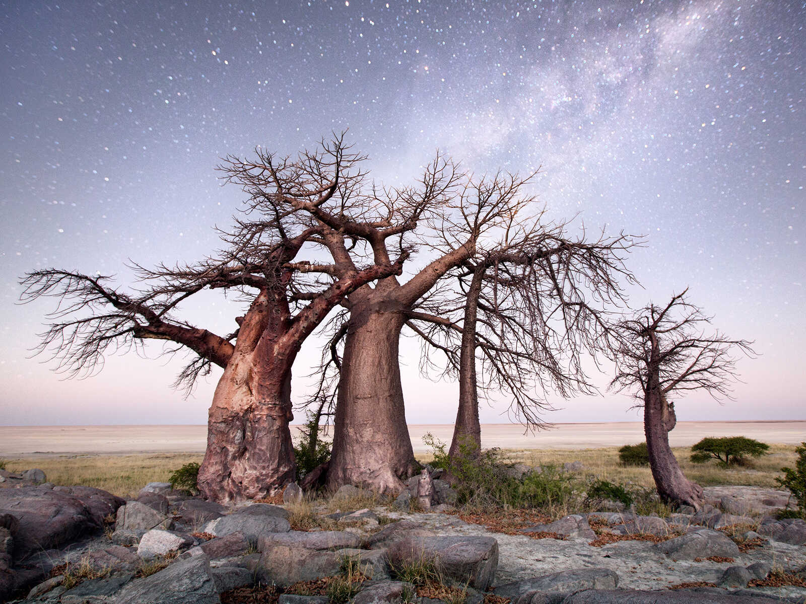 Parque Nacional Makgadikgadi Pans