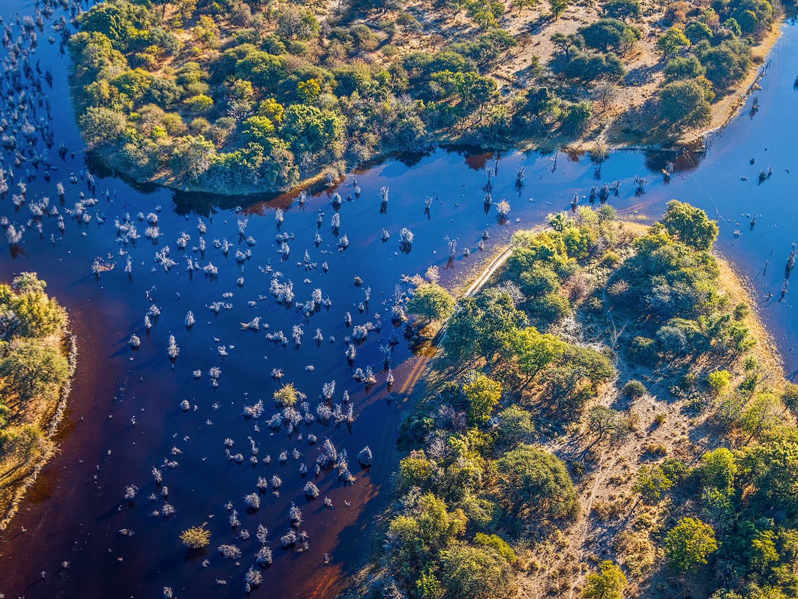 Delta del Okavango 1