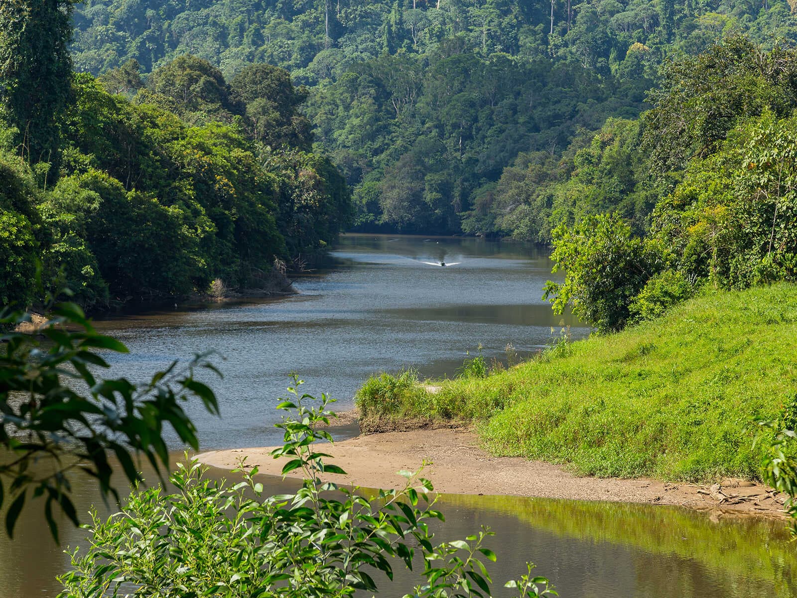Parque Nacional Ulu Temburong 1