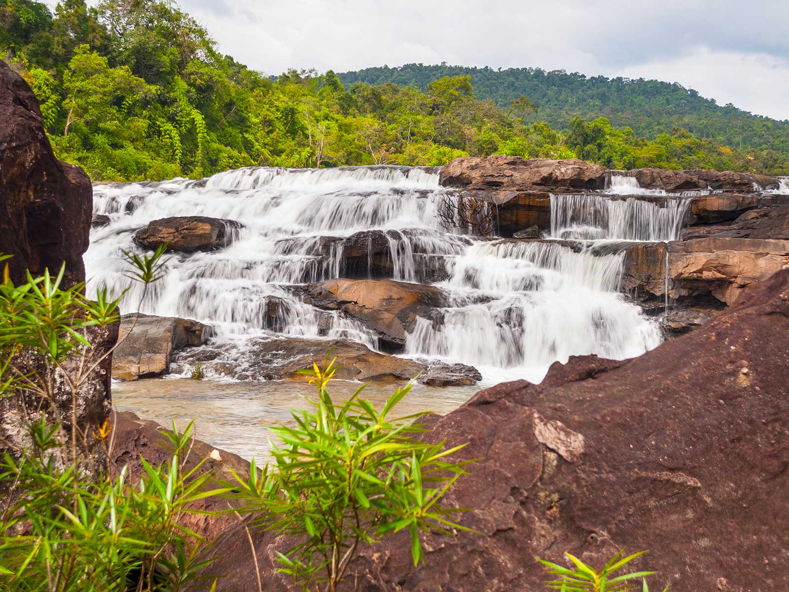 Montañas Cardamomo 1