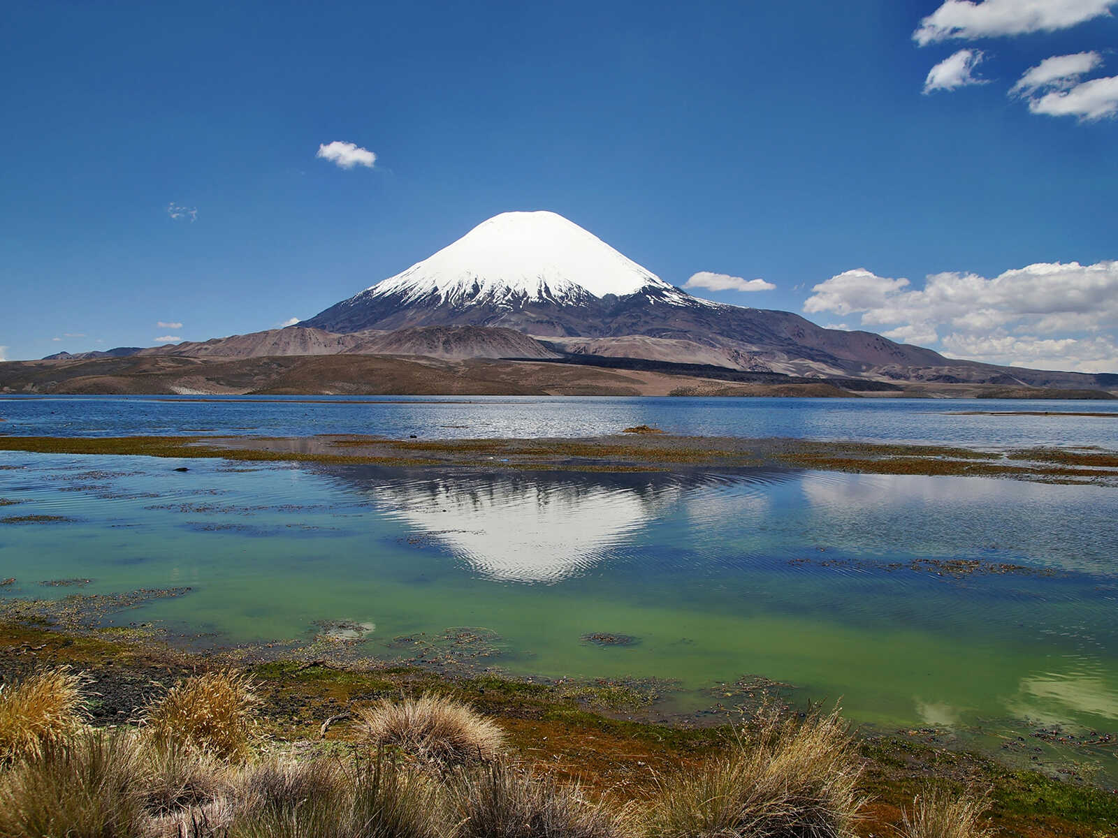 Parque Nacional Lauca