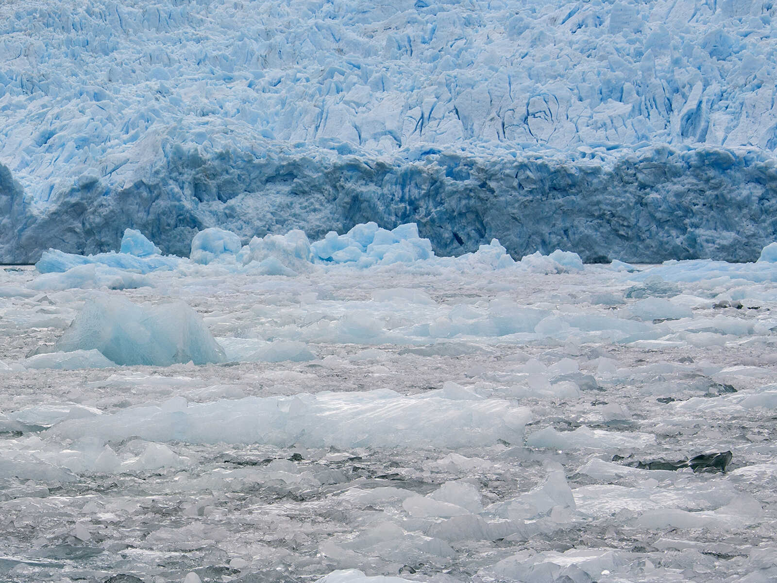 Glaciar San Rafael 2