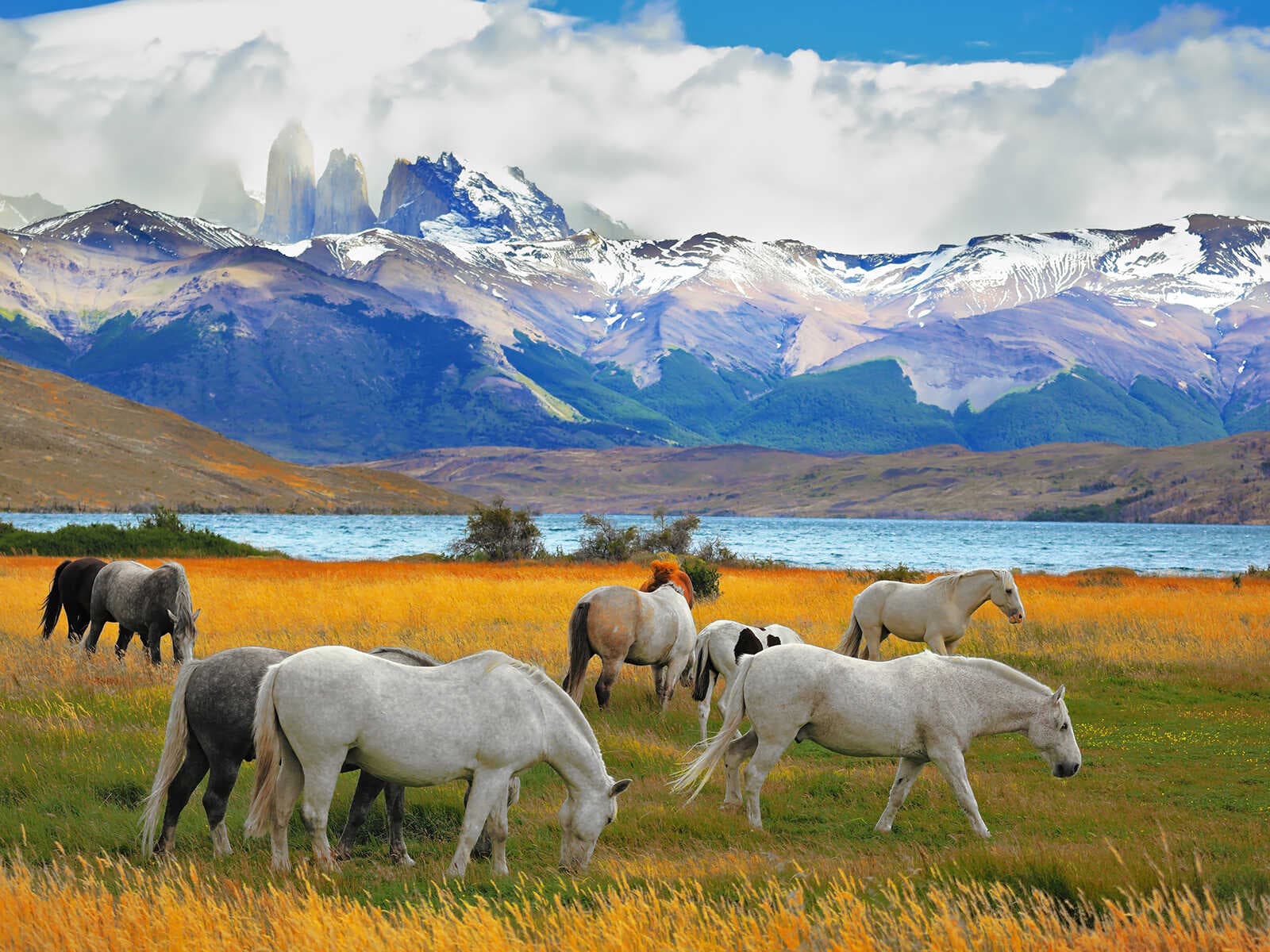 Parque Nacional Torres del Paine
